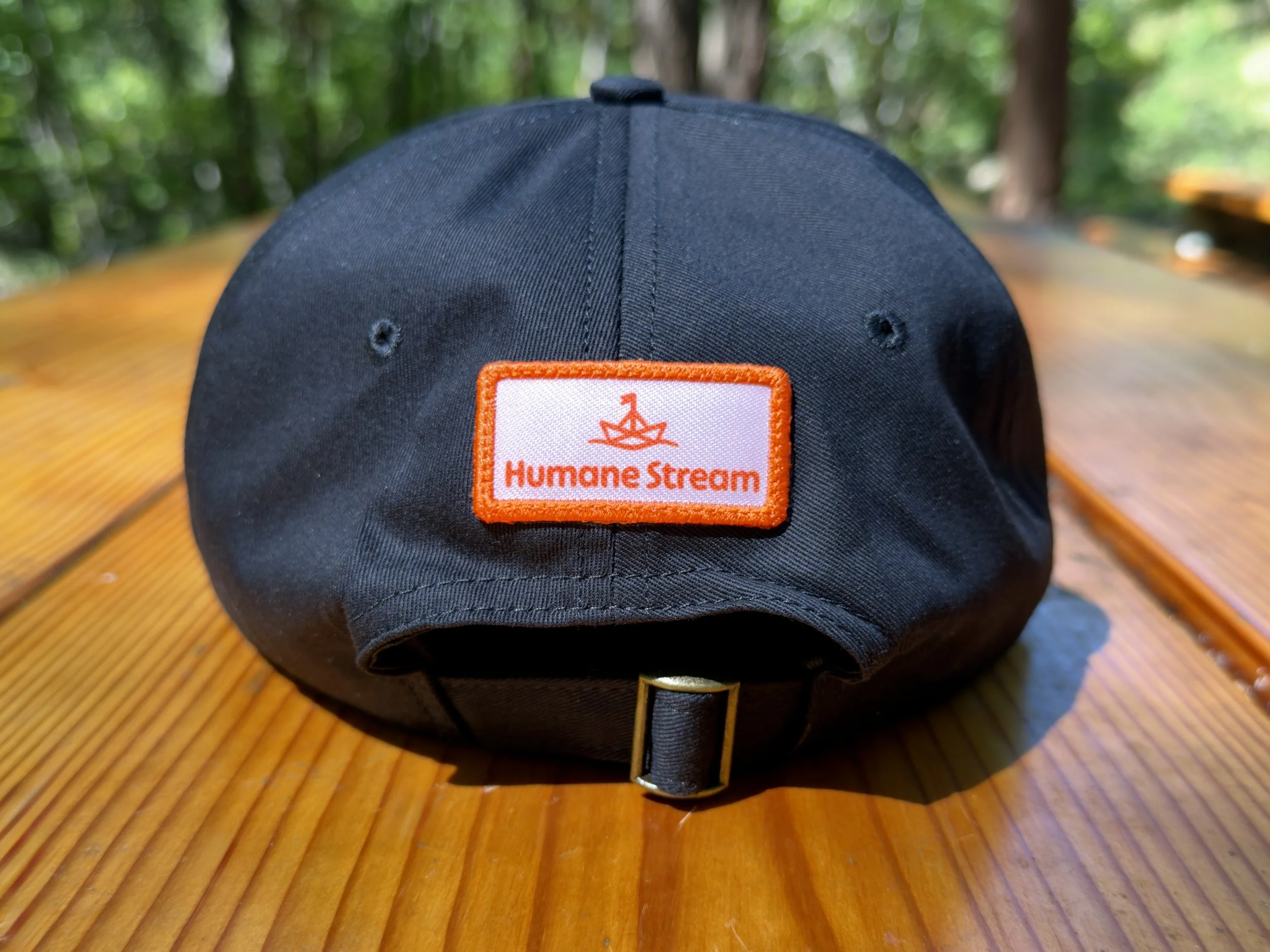 Image of the back of a black baseball cap with a Humane Stream logo sitting atop a picnic table