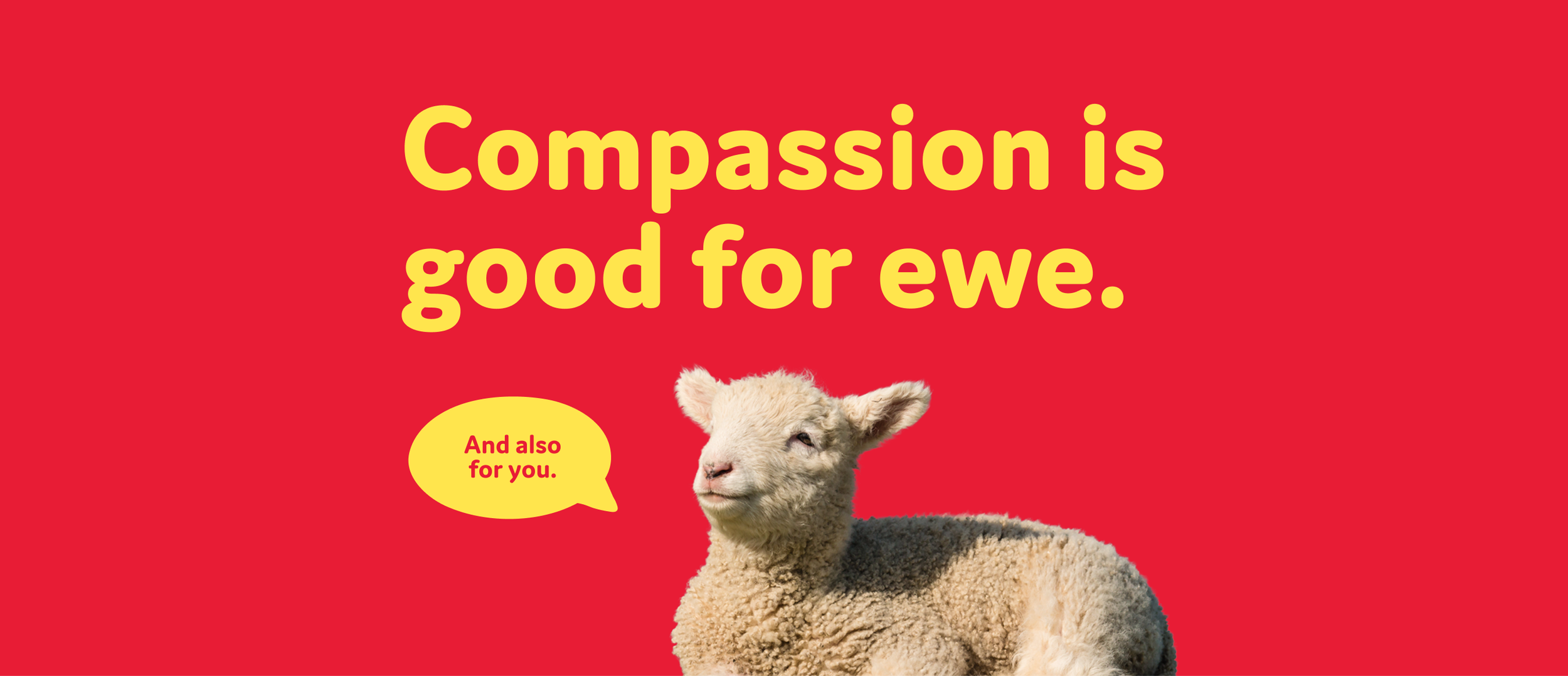 A lamb against a red background with text that says "Compassion is good for ewe." A speech bubble next to the lamb says "And also for you."