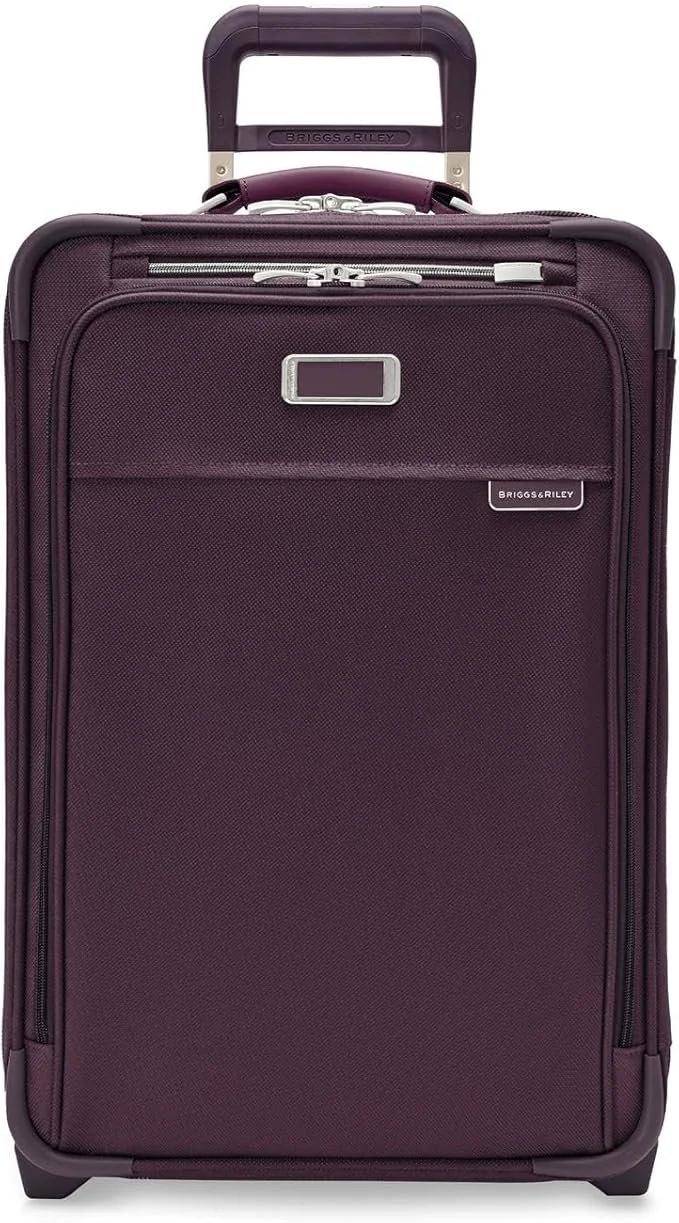 22 in 2 wheel plum.jpg