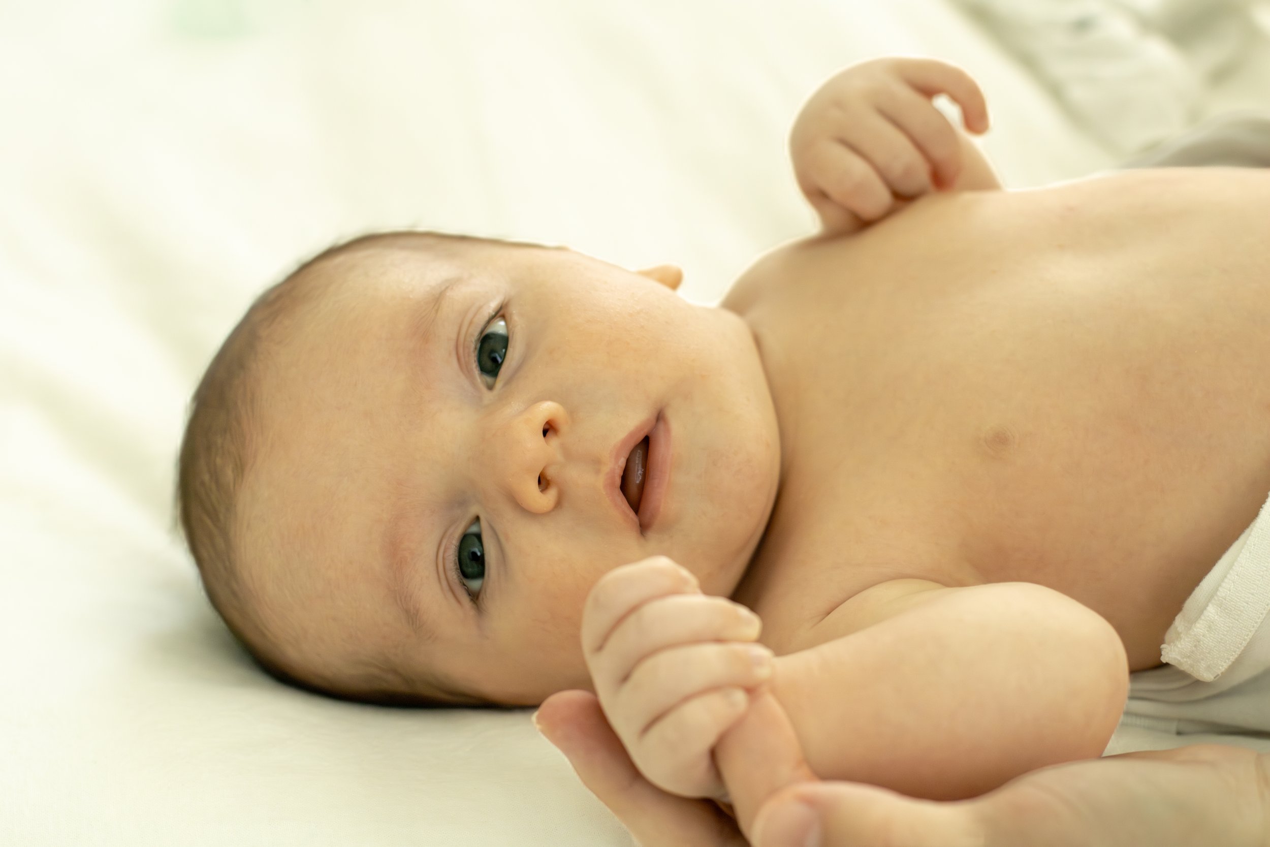 NewBornSamp-5.jpg