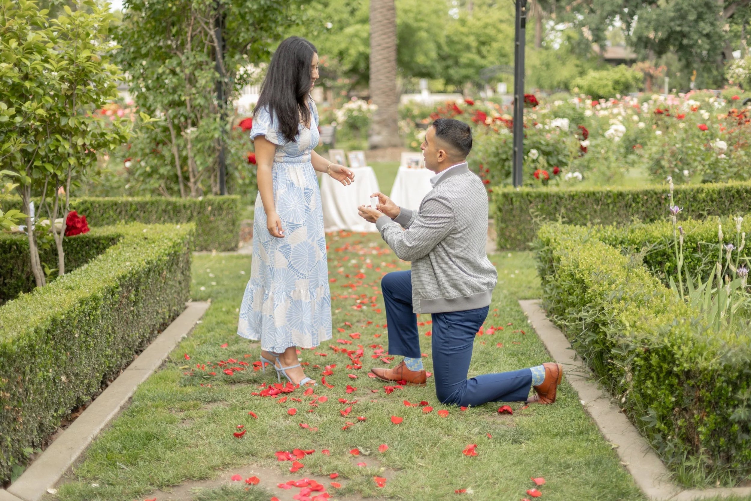Engagement in Sac Rose Garden