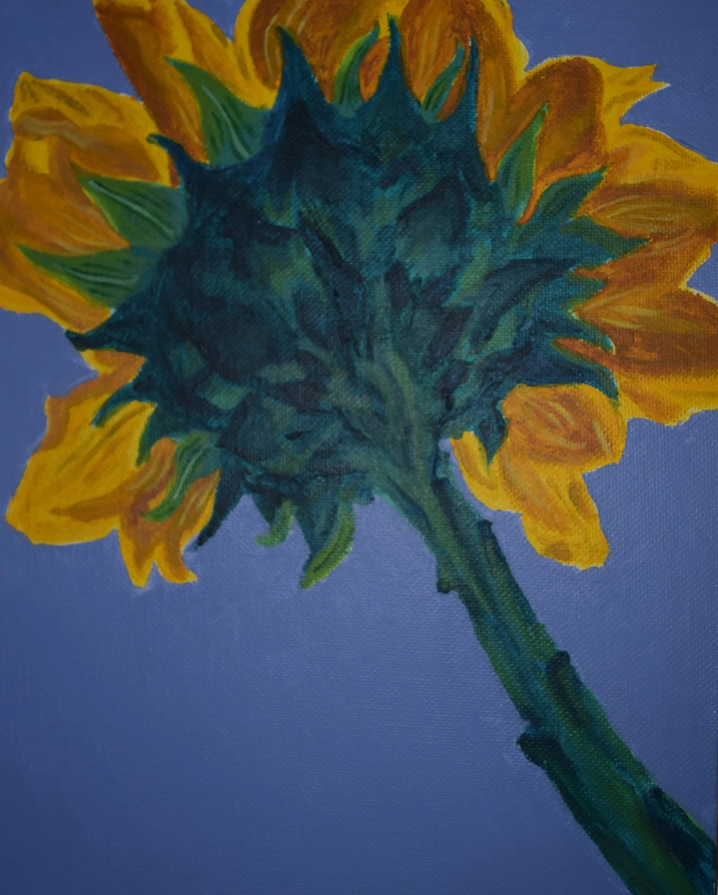 A painting of a sunflower flower with yellow petals and green leaves on a blue background.