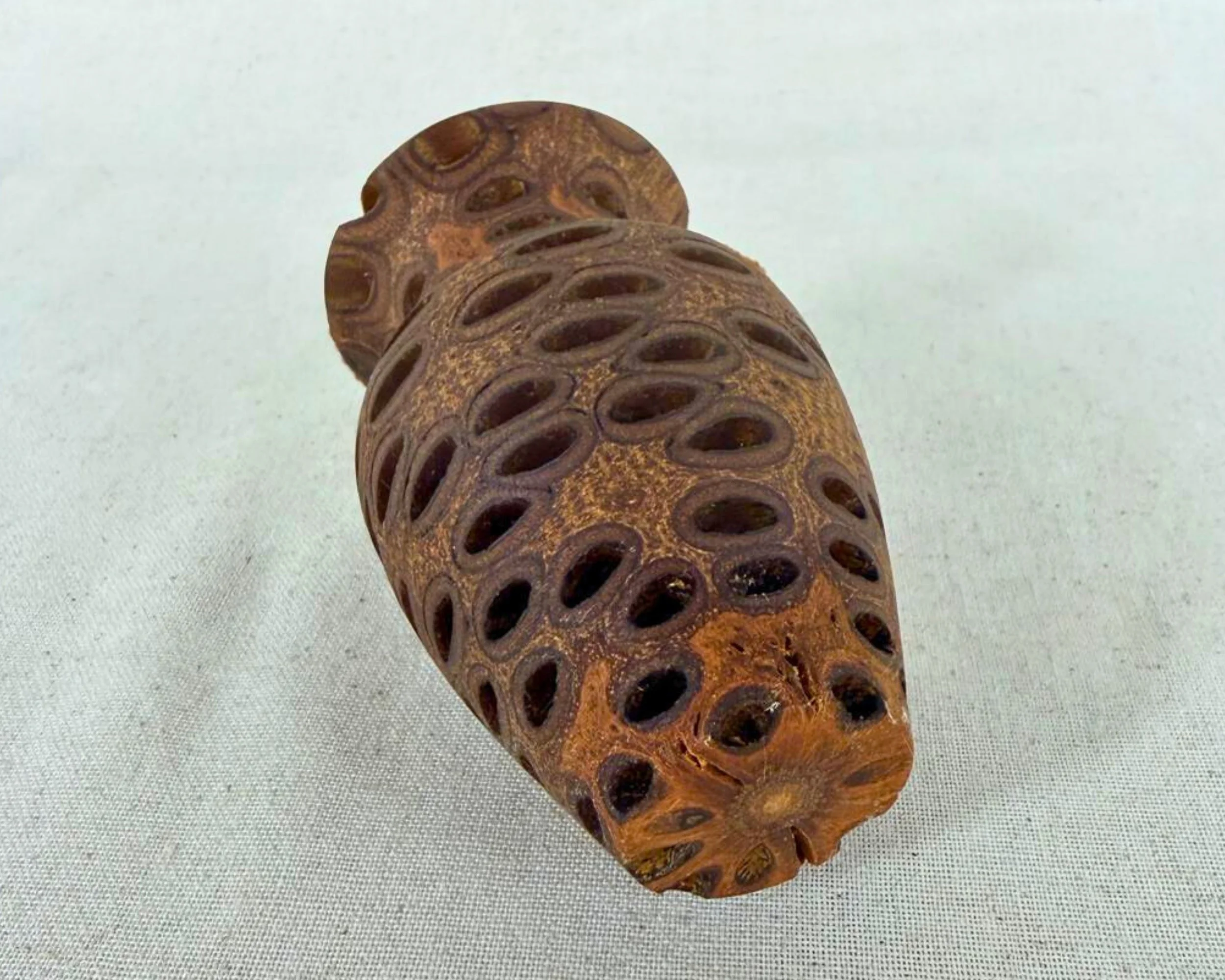 Banksia nut vase lying on its side, showing pierced openings across the body.