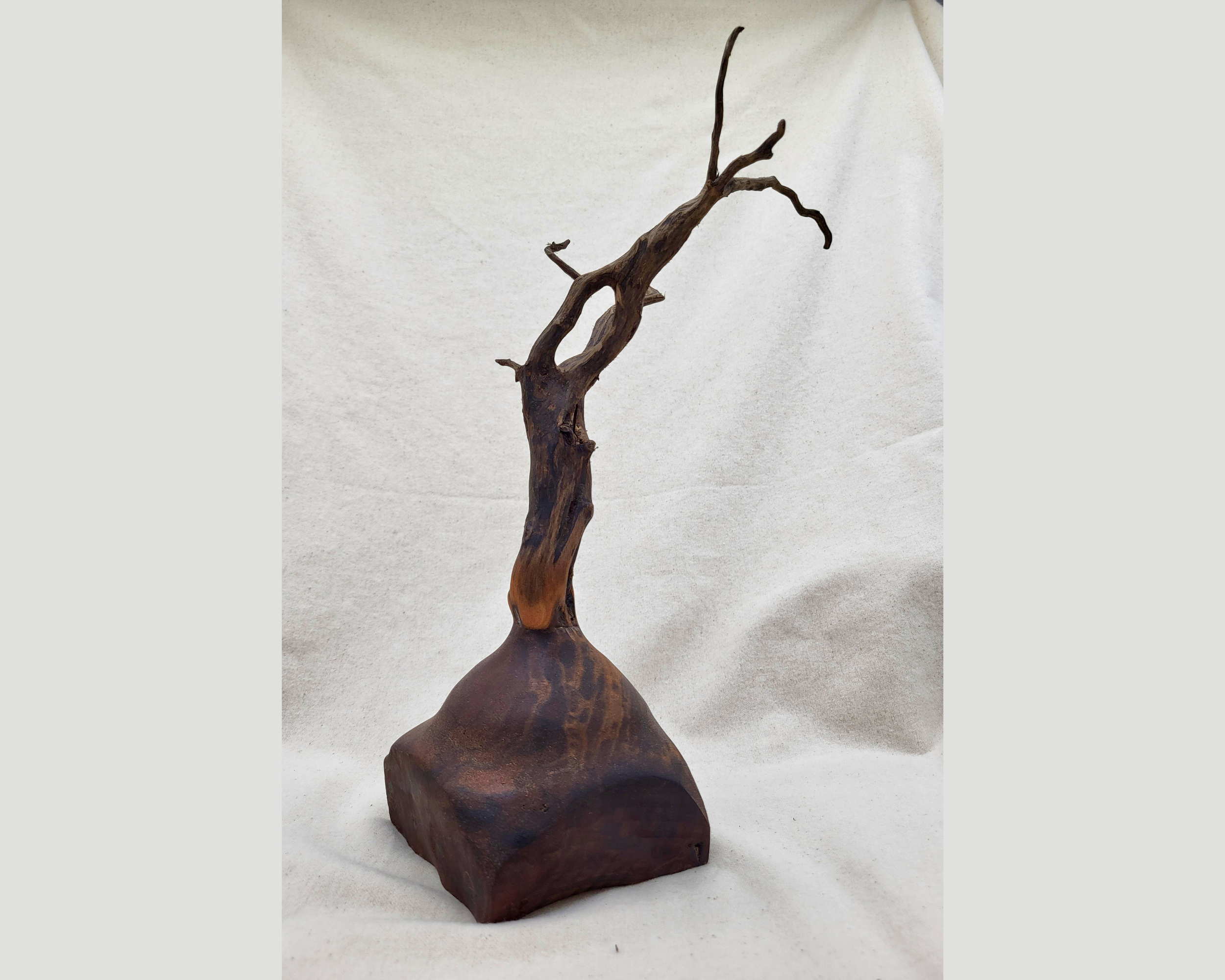 Hand-turned claro walnut and driftwood sculpture by Treverk Woodturning, 13 inches tall, with a stone-like claro walnut base in matte finish and a slender, weathered driftwood tree rising from it. Sculptural organic wood art for contemplative decor.