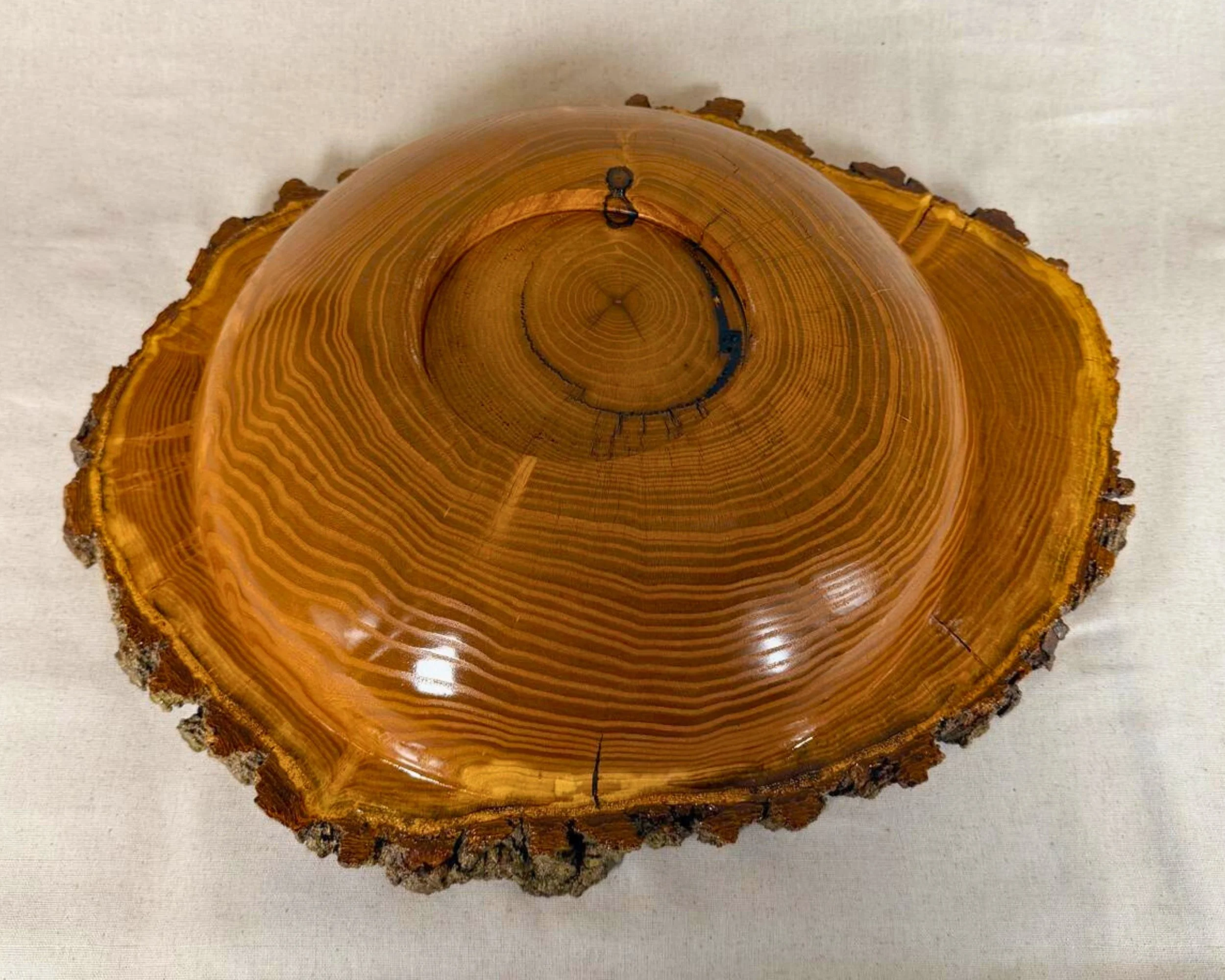 Underside of mulberry live-edge bowl showing concentric growth rings and natural edge