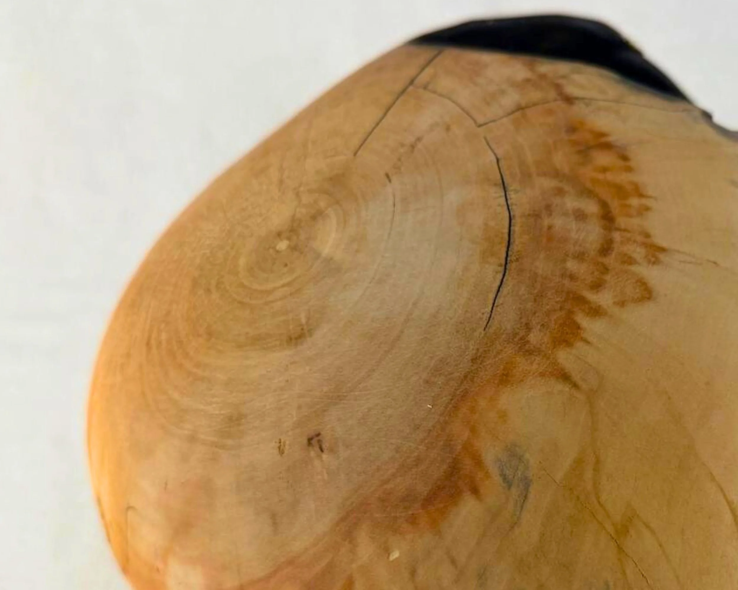 Close-up of end-grain growth rings on reclaimed pine, with fine checking lines visible near the surface.