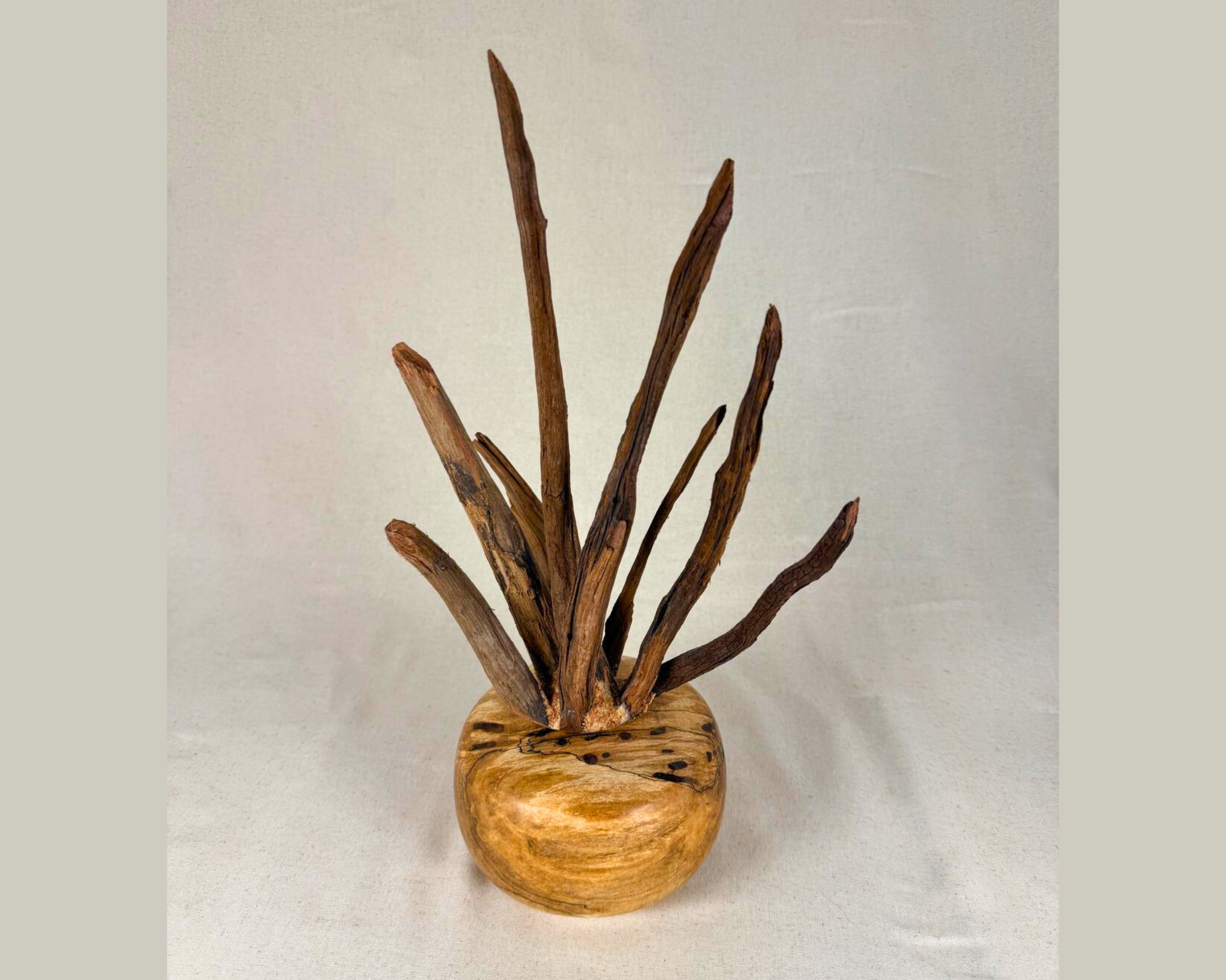 Full view from the opposite side highlighting darker driftwood pieces and the base’s spalt lines and natural markings.