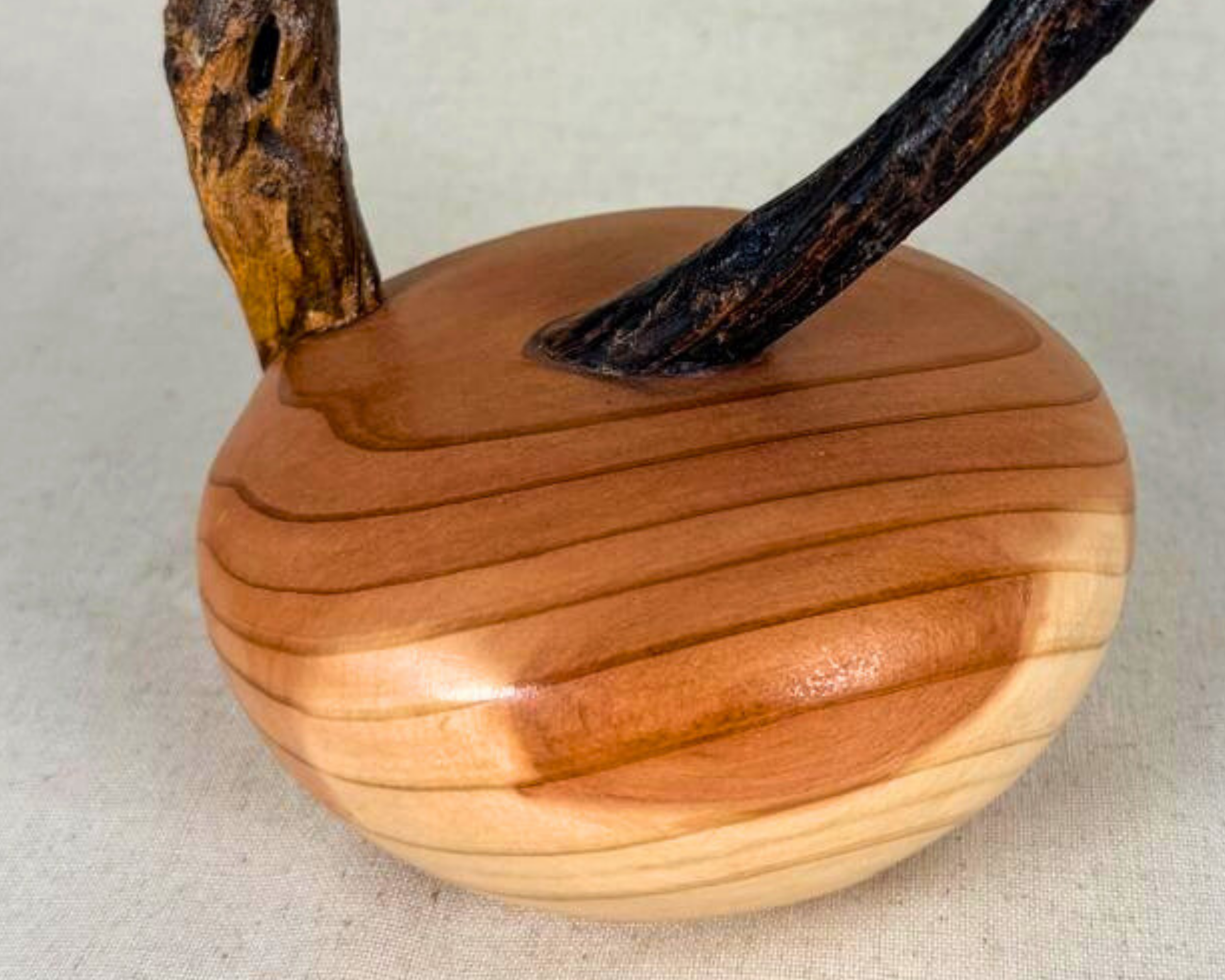 Detail view of two driftwood branches emerging from a smooth turned sequoia base, emphasizing the natural connection and sculptural movement of the celestial series piece.