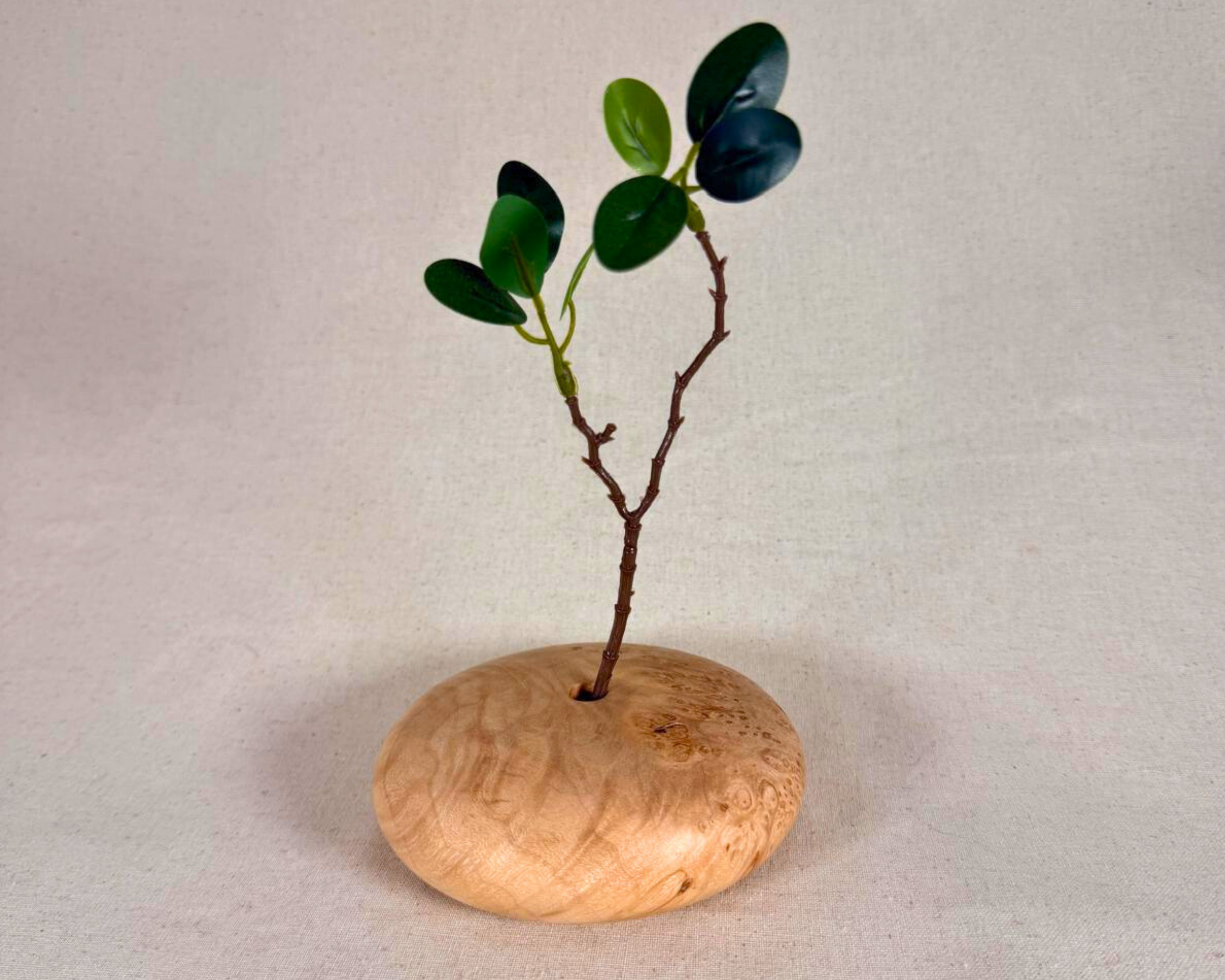 Maple burl form displayed with a single dried stem inserted into the small opening, showing its intended styling use.