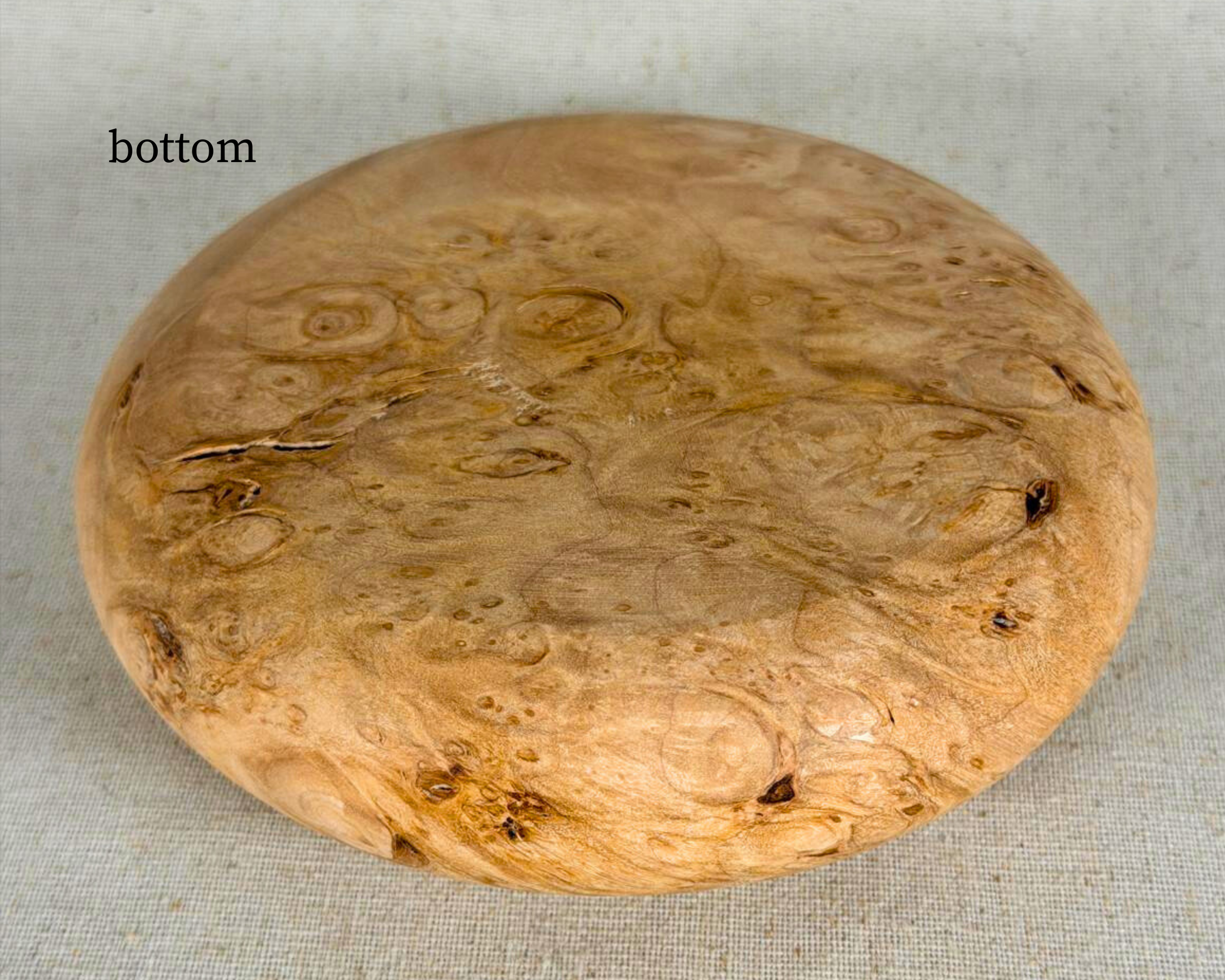 Maple burl sculptural form shown from below, revealing the smooth solid underside and pale burl figuring.