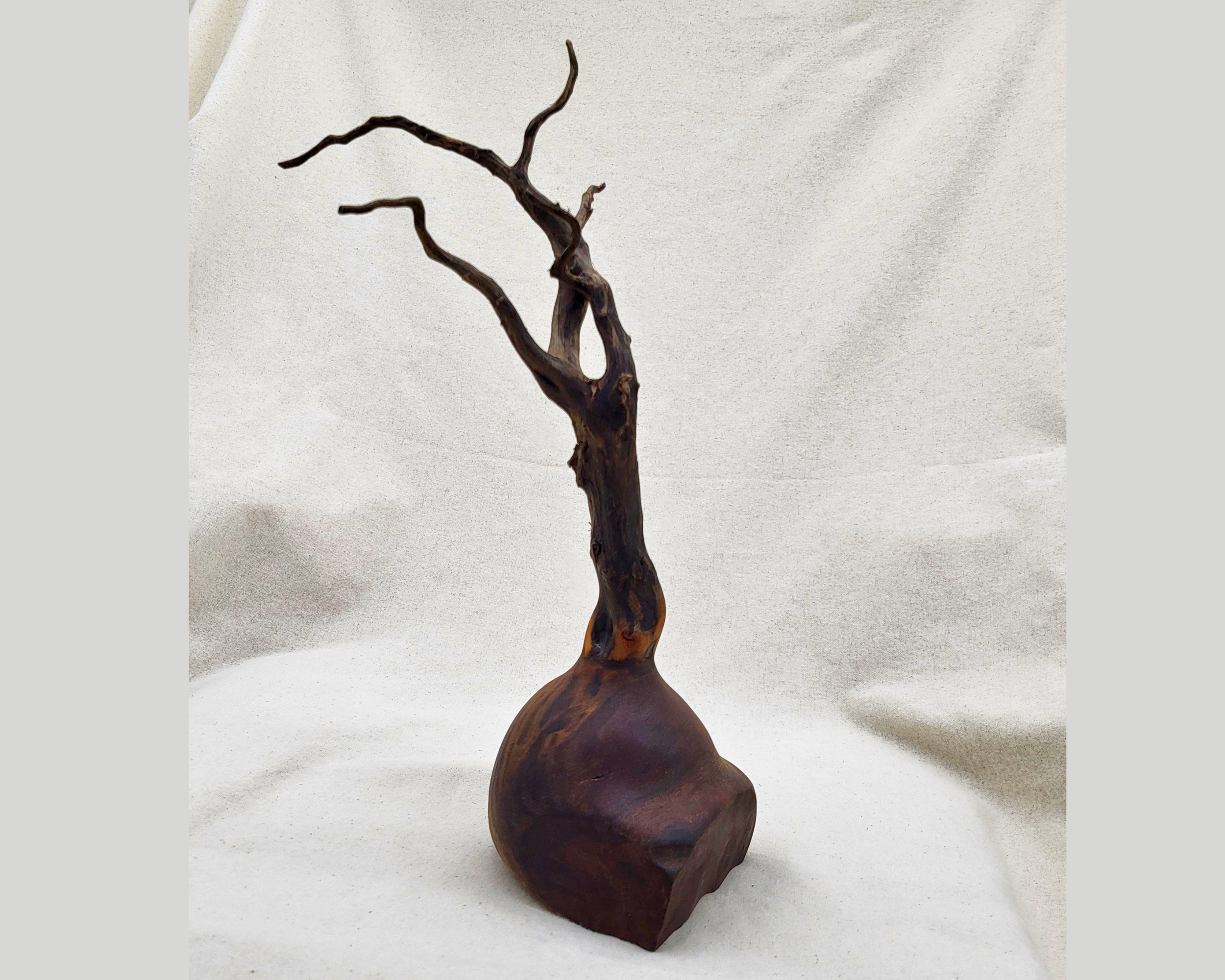 Side profile of a hand-turned claro walnut and driftwood sculpture by Treverk Woodturning, the irregular stone-like base anchoring a lean driftwood branch with a natural opening partway up the trunk. Organic sculptural wood art.