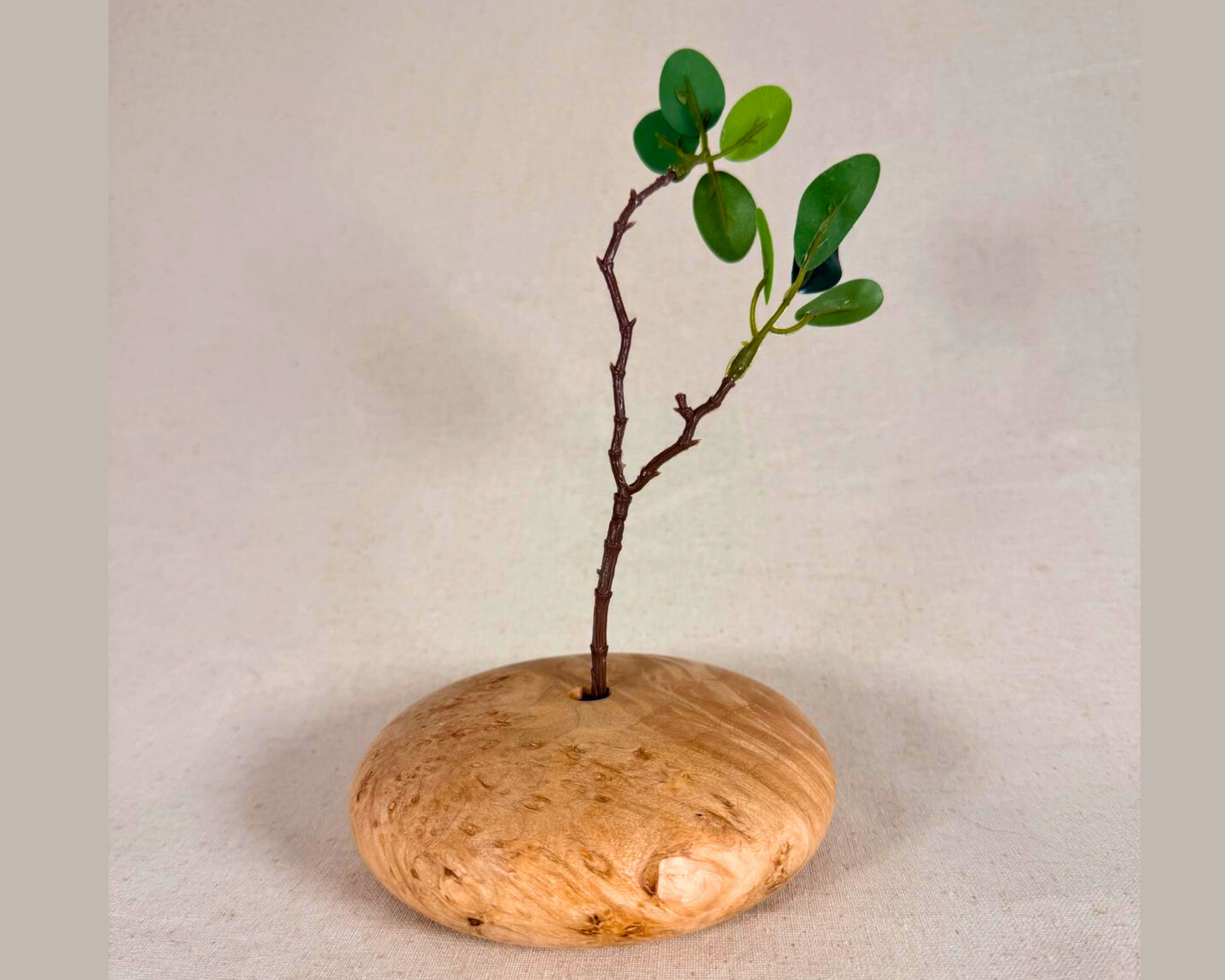 Maple burl form styled with a dried stem angled upward, emphasizing that the opening is small and decorative.