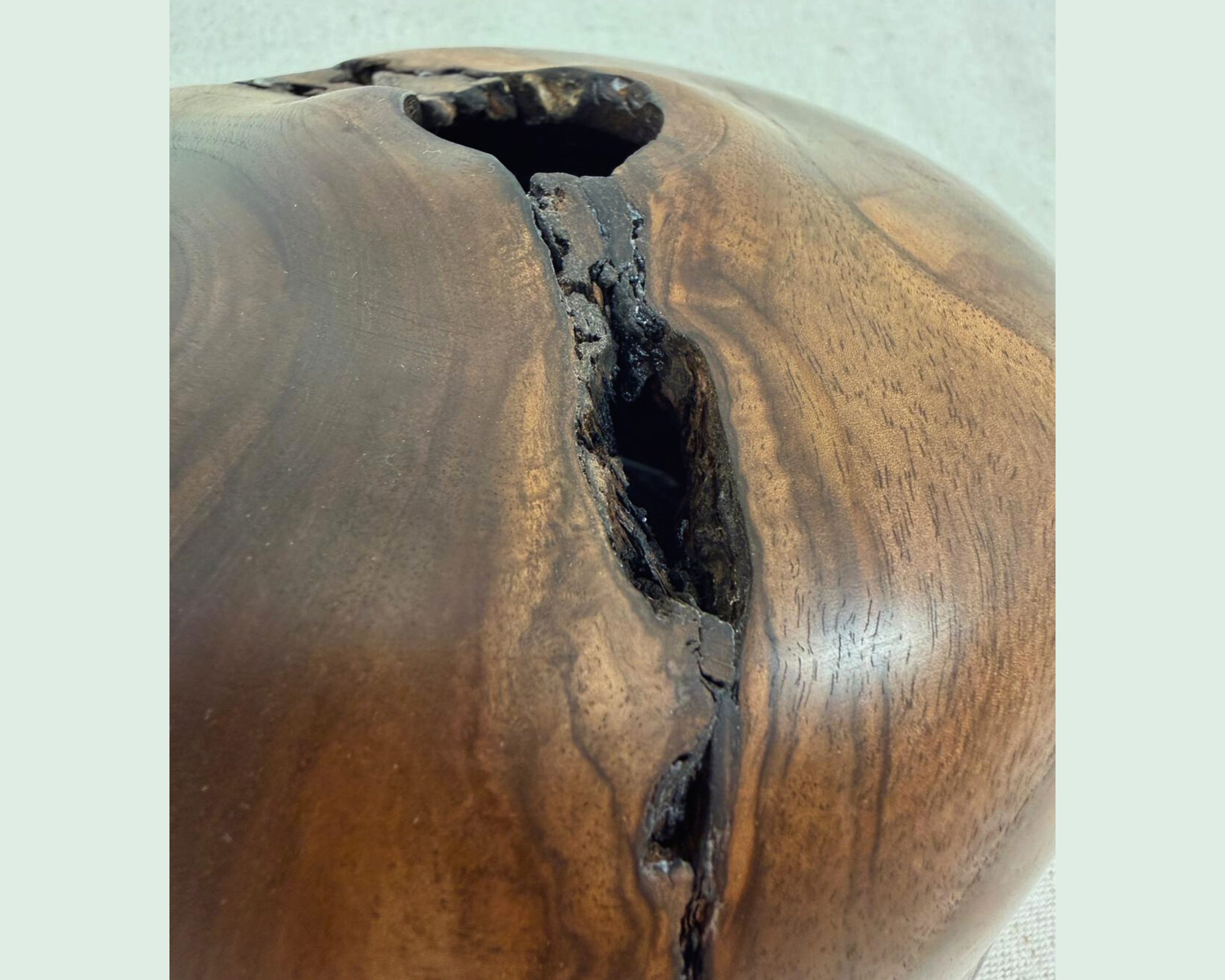 Close-up side detail of a walnut vessel highlighting the elongated natural fissure, dark interior void, and flowing grain around the opening.