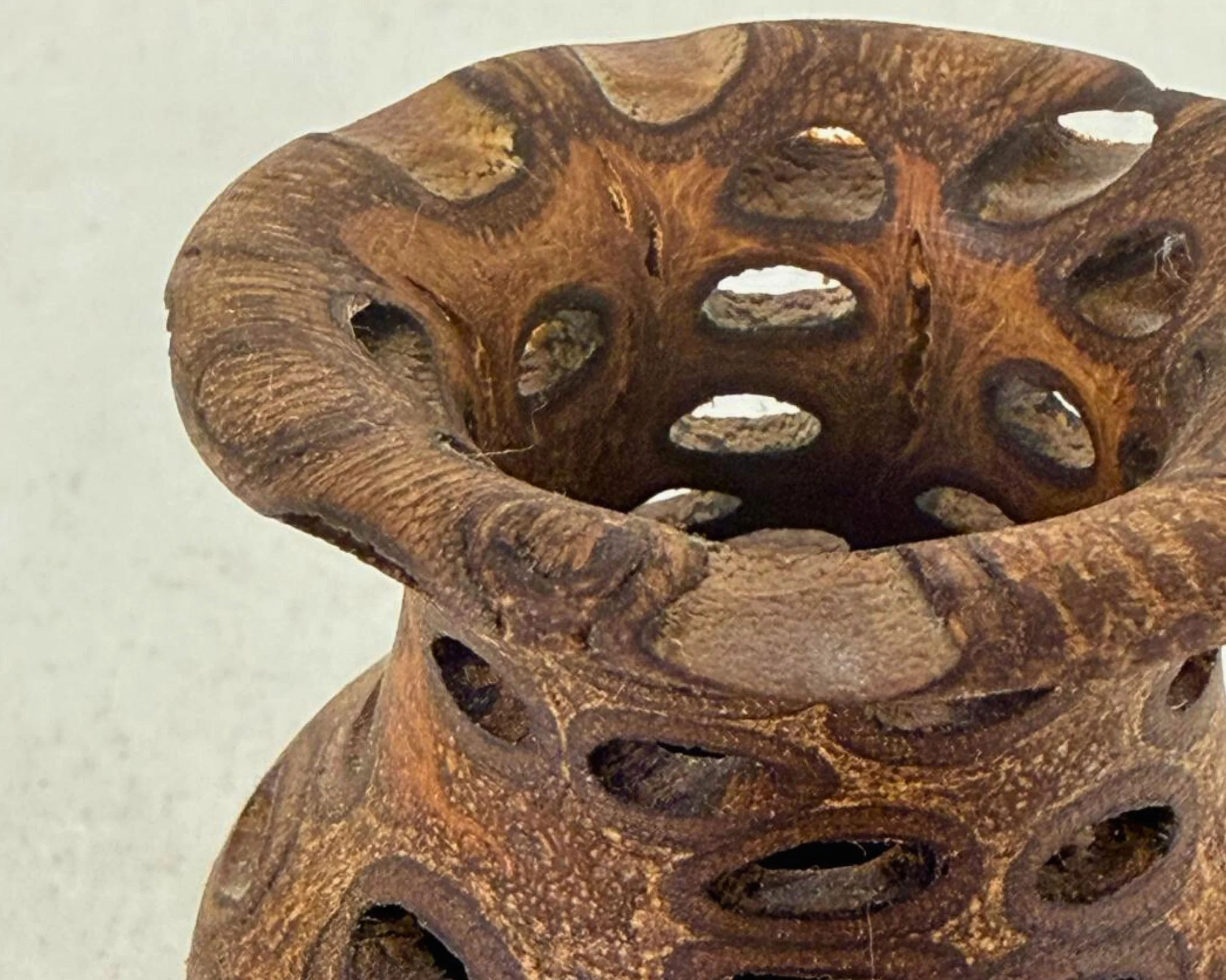 Close-up of banksia nut vase rim and openings, showing texture and edge detail.