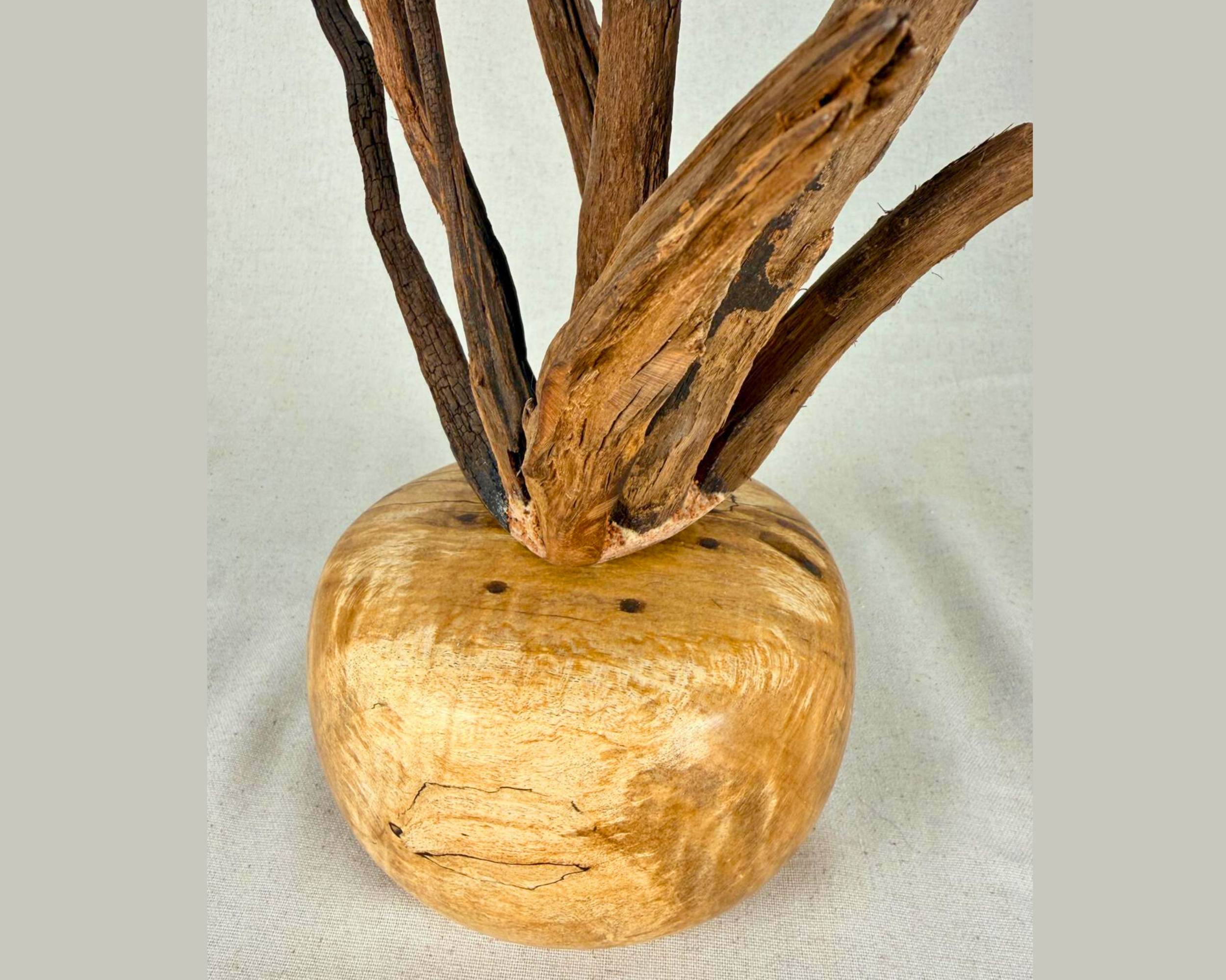 Close-up from another side emphasizing the driftwood’s branching lines and the spalted maple burl’s warm, luminous tone.