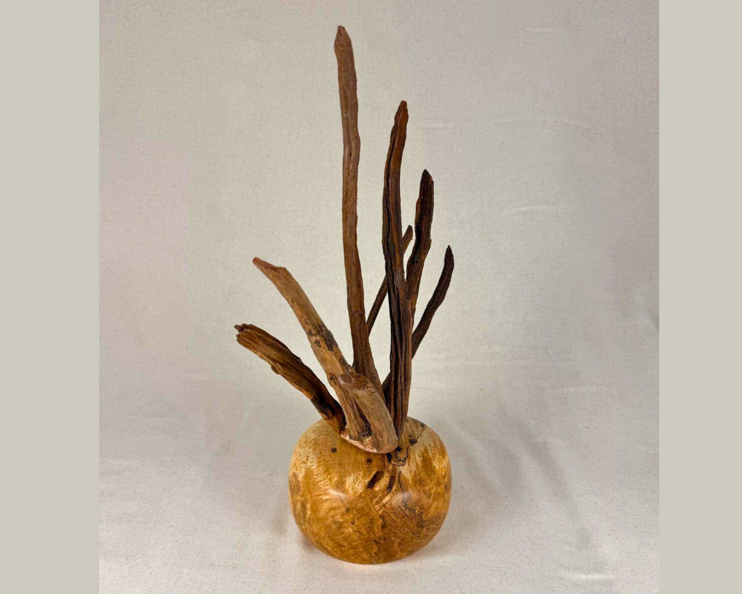 Full view from a slightly different angle showing the driftwood cluster sweeping outward over the rounded maple burl base.