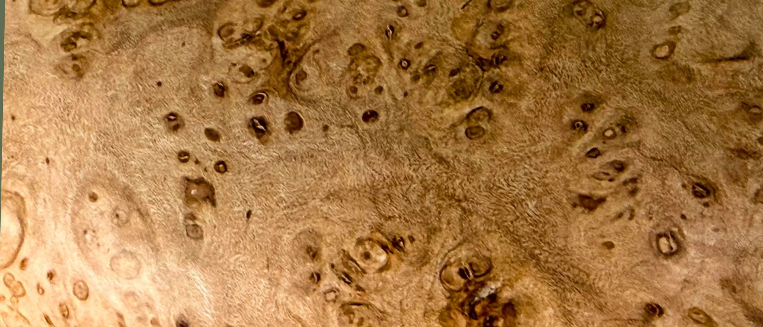 Close-up of a textured brown surface with numerous small, circular holes and markings.