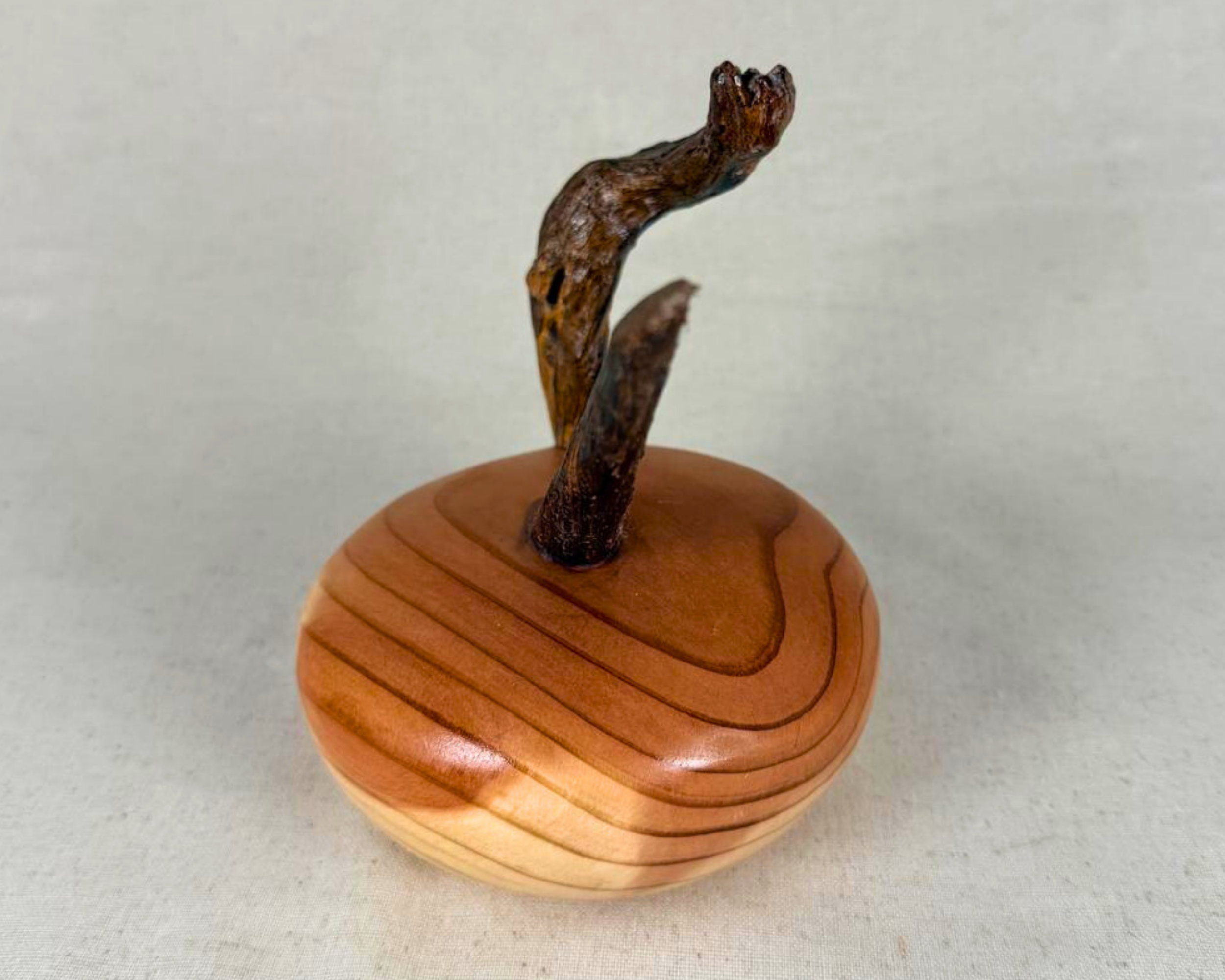 Side angle of a sequoia and driftwood celestial sculpture highlighting the contrast between polished sequoia wood grain and weathered driftwood branches.