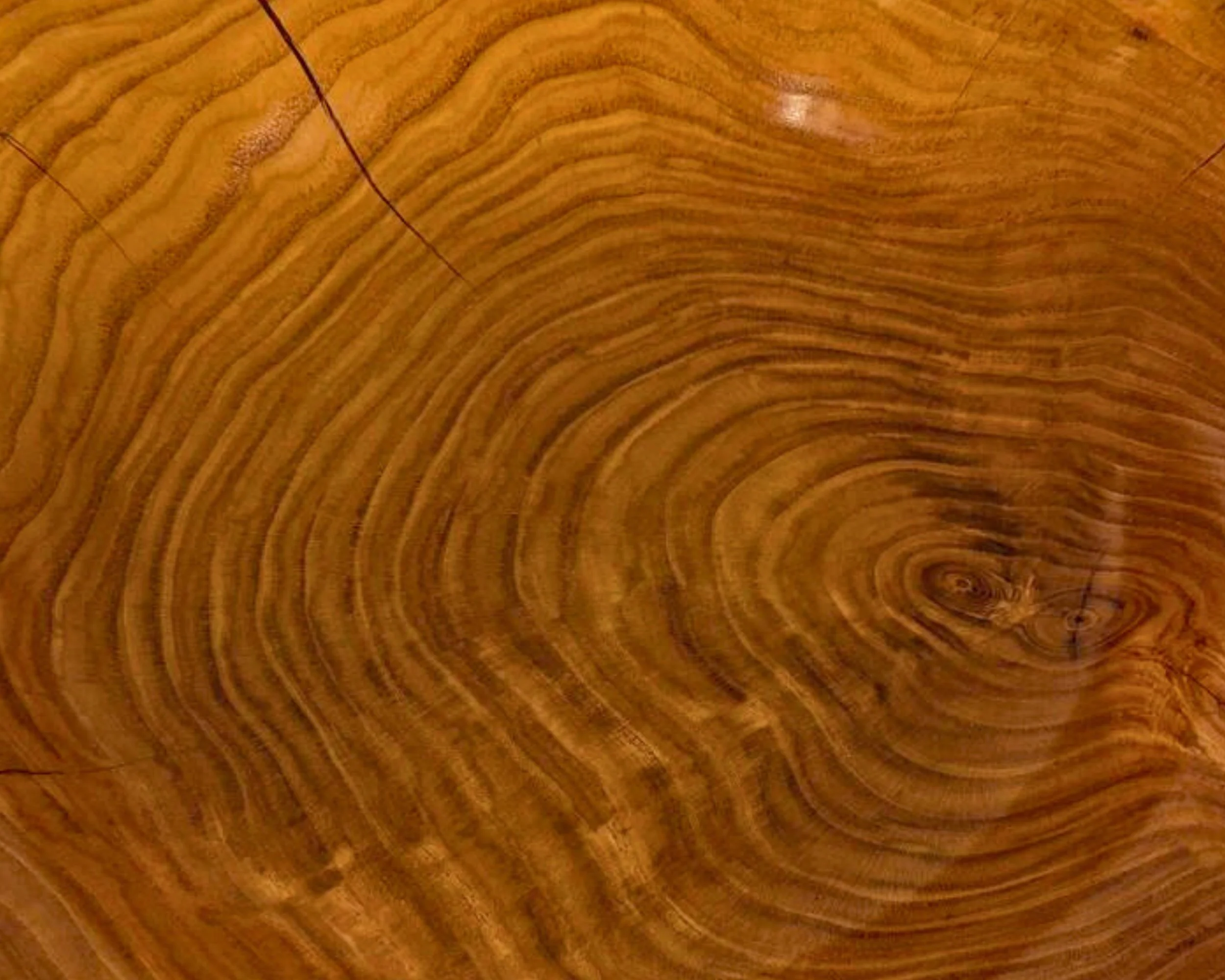 Close-up of honey locust grain pattern with fine epoxy-filled checks and warm golden tones