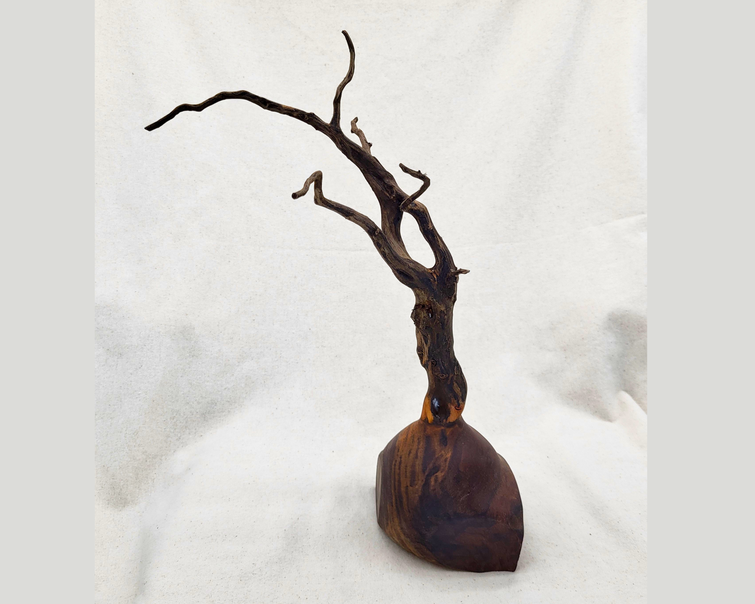 Profile view of a claro walnut and driftwood sculpture by Treverk Woodturning, showing the boulder-like base in matte chocolate and rust tones with a single windswept driftwood trunk reaching upward. Sculptural wood art evoking a tree on stone.