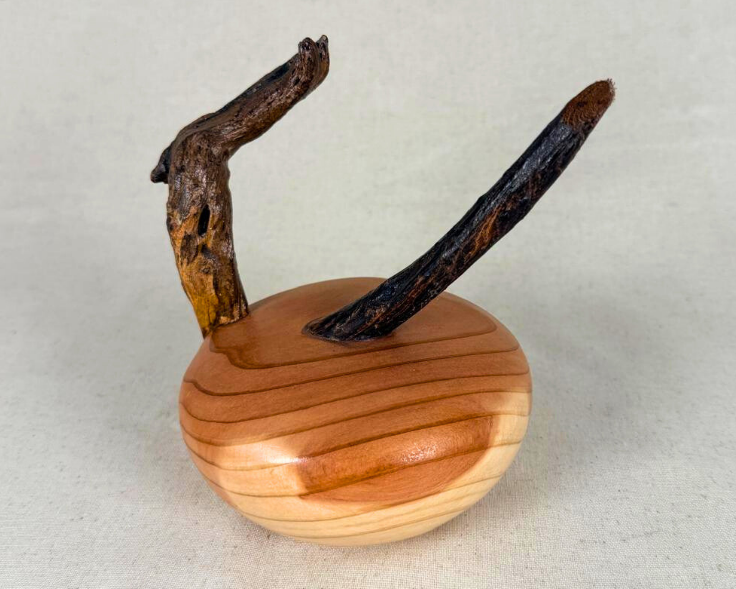 Sequoia and driftwood celestial sculpture with two upward-reaching driftwood forms rising from a warm-toned turned sequoia base, photographed as a small sculptural tabletop object.