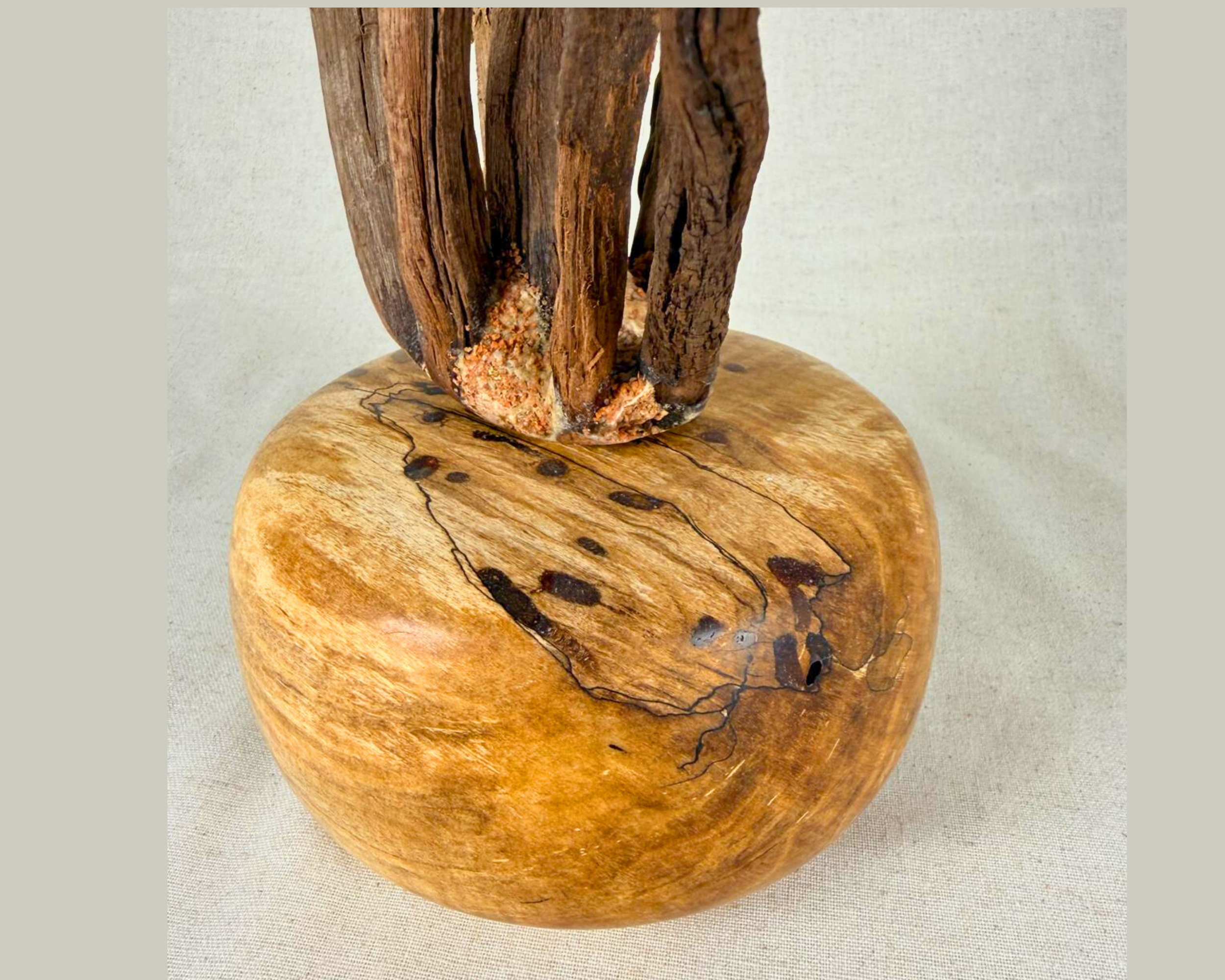 Detail shot of the spalted maple burl surface with dark spots, spalting tracery, and subtle figure in the wood.