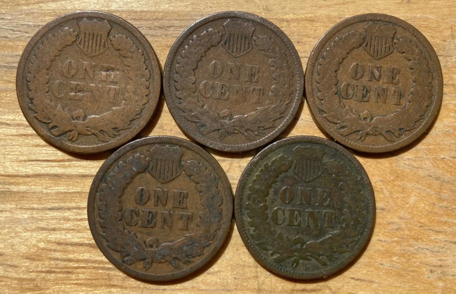 1880s Indian Head Cents REV.jpg