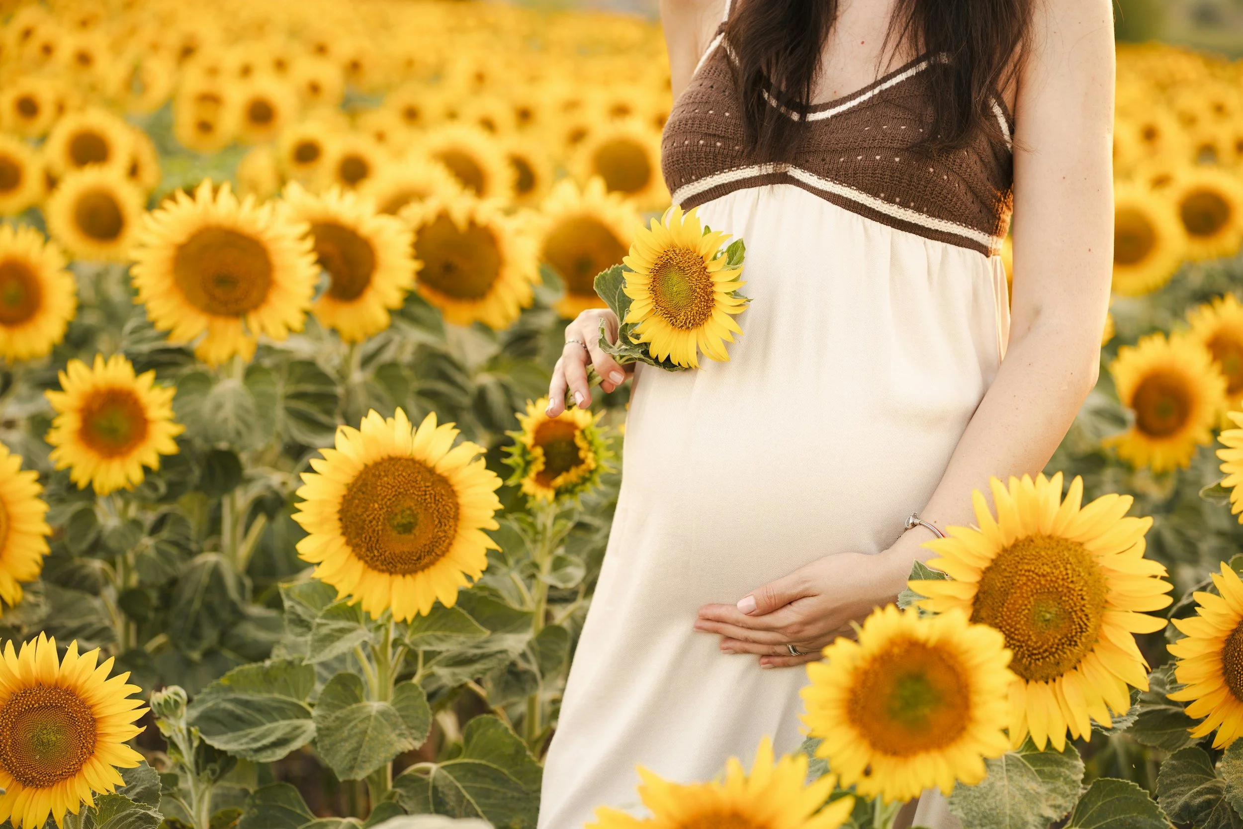 A pregnant woman holding a sunflower in a sunflower field during daylight.
