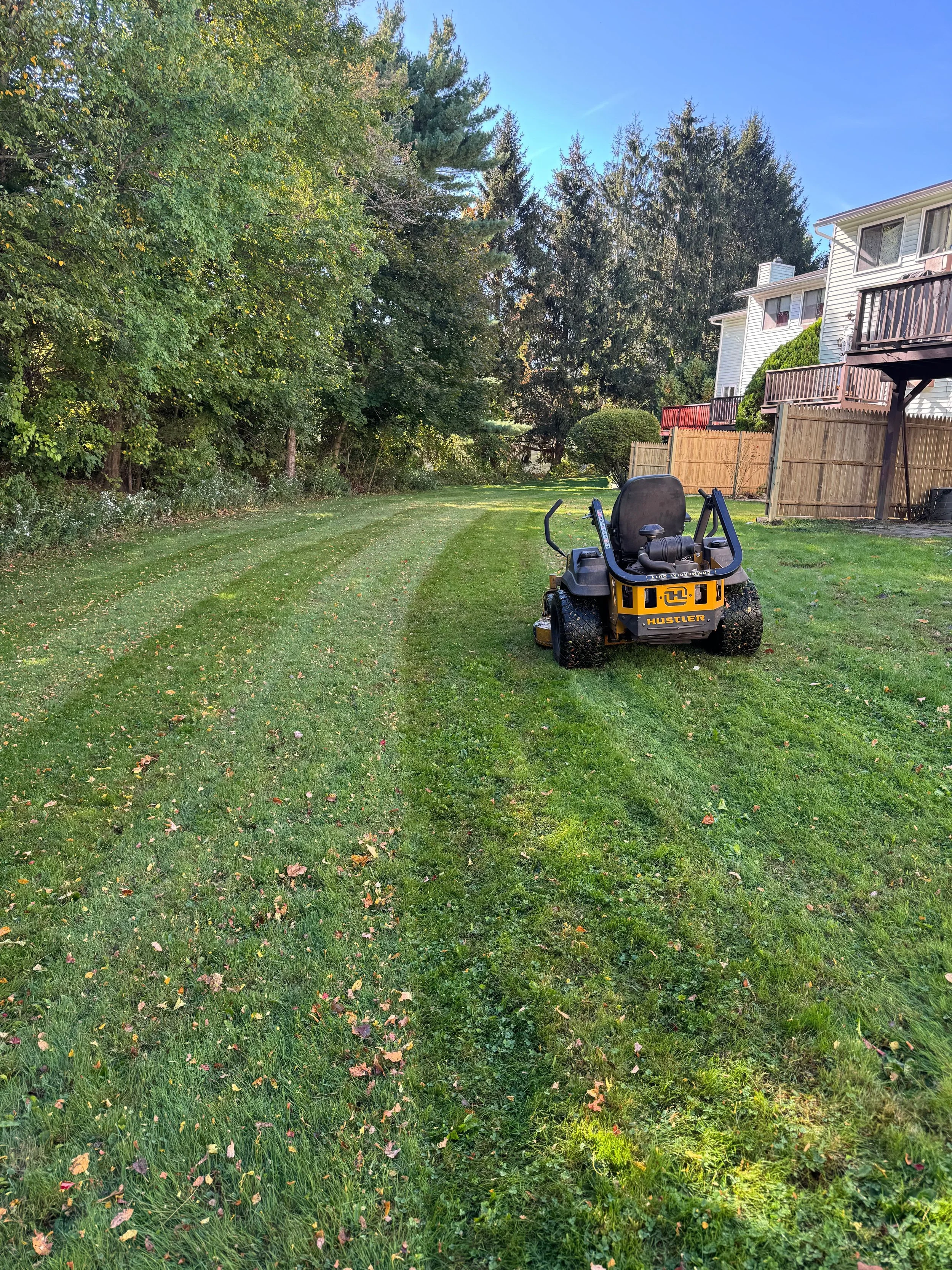 A yellow and black Hustler riding lawn mower on a green lawn, with a new wood fence and houses with decks in the background under a clear blue sky.