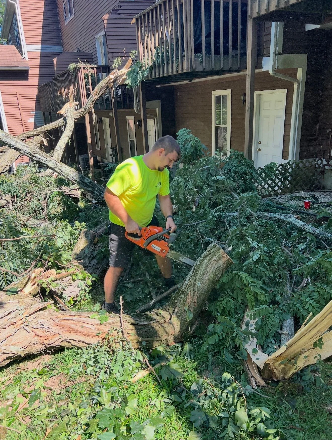 A man in a neon yellow shirt using a chainsaw to cut a fallen tree on a residential lawn, surrounded by branches and leaves, with houses in the background.