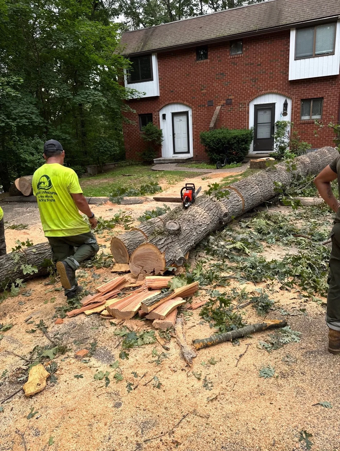A fallen large tree on a residential street with workers cutting it into pieces using a chainsaw. Debris and leaves are scattered around. Houses with brick facades and front doors are visible in the background.