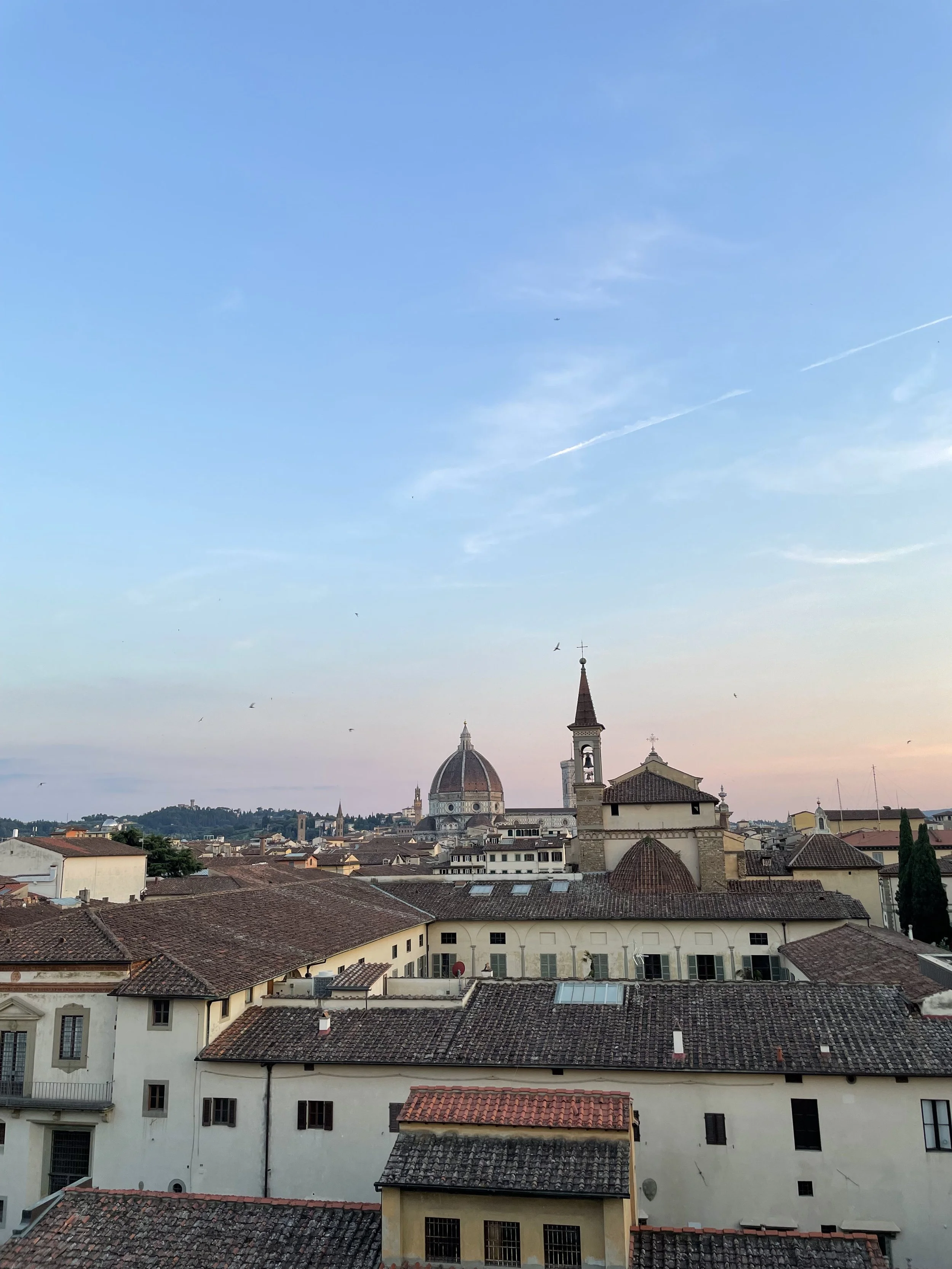View of a European cityscape with rooftops, a cathedral with a large dome, and a bell tower against a sky with clouds and birds.