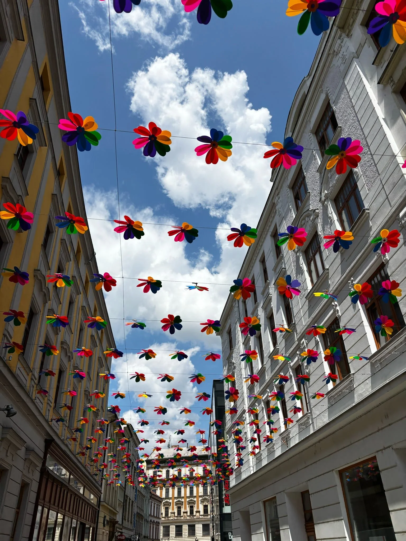 Colorful flower-shaped decorations hanging across a city street between buildings with blue sky and clouds above.