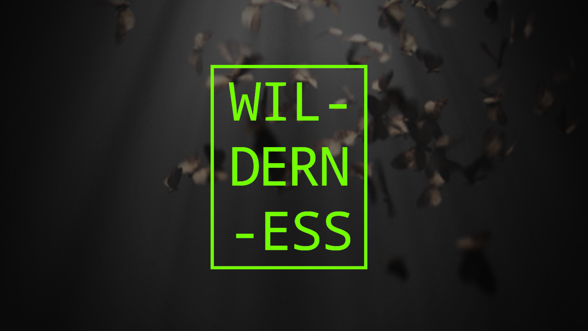 Dark background with scattered small flower petals and green text overlay reading 'WILD - DERN - ESS' inside a green rectangular border.