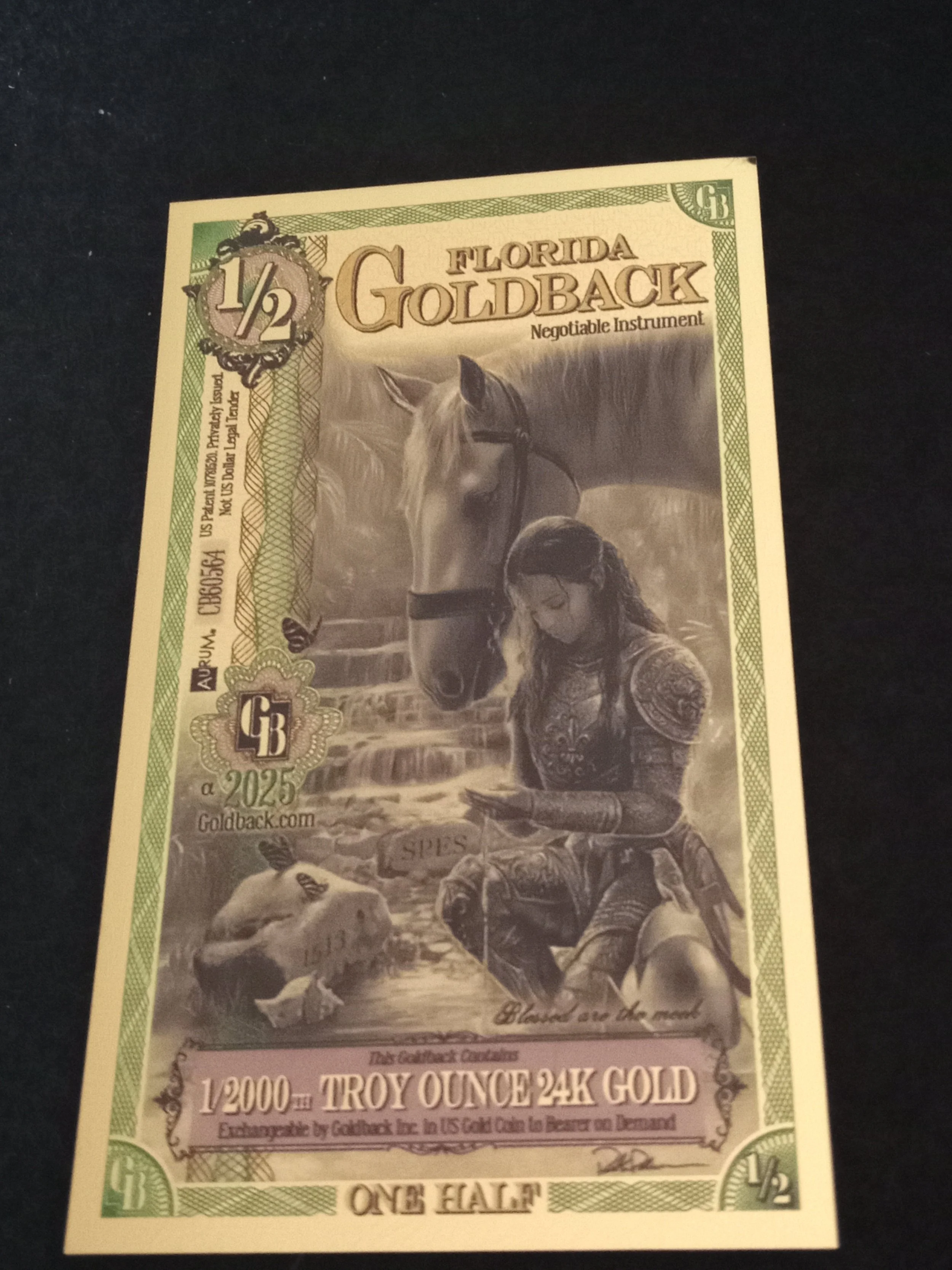 Florida Half Goldback - A - CB60564 .jpg