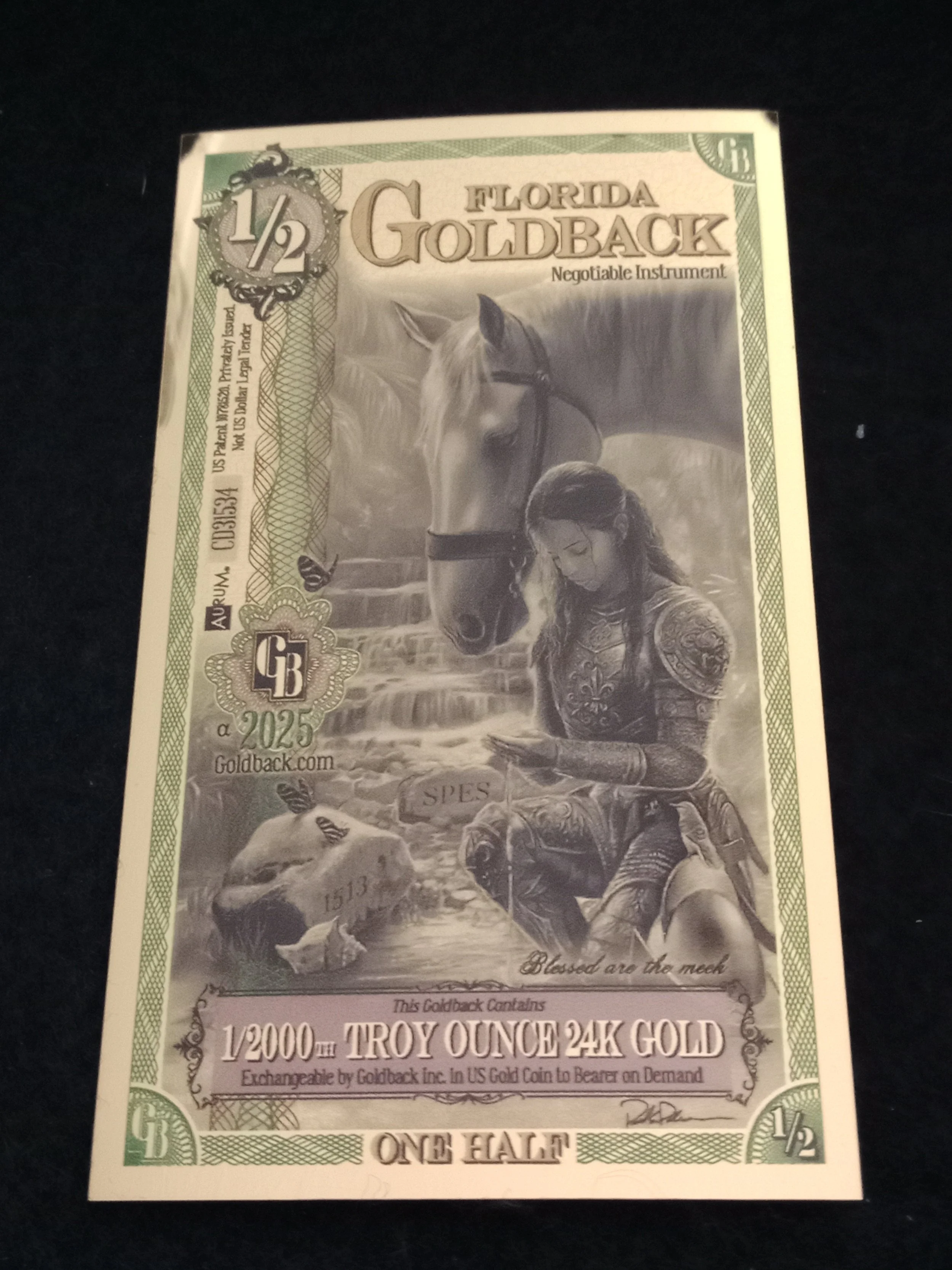 Florida Half Goldback - A - CD31534.jpg