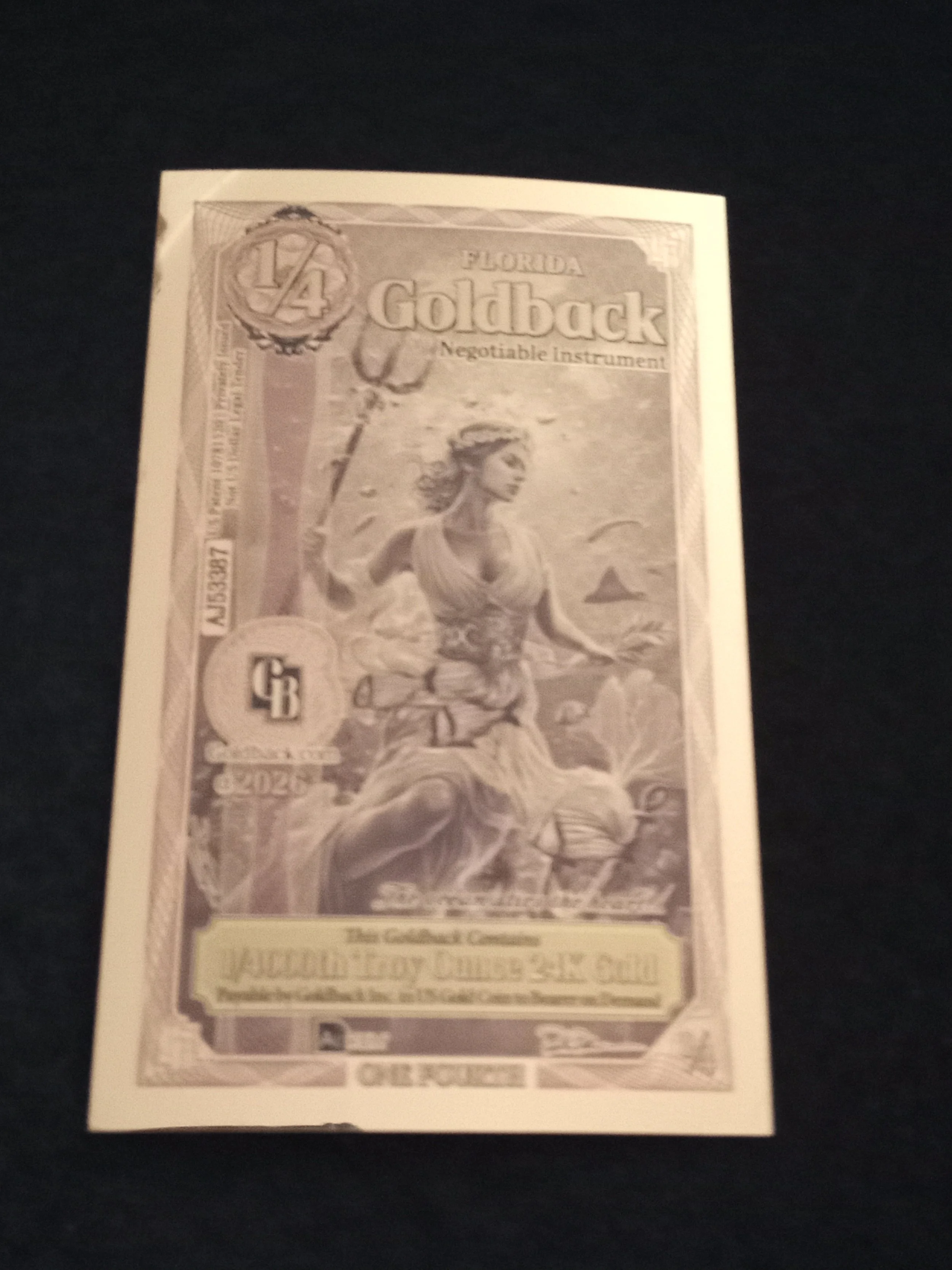 Florida Quarter Goldback - A - AJ53387.jpg