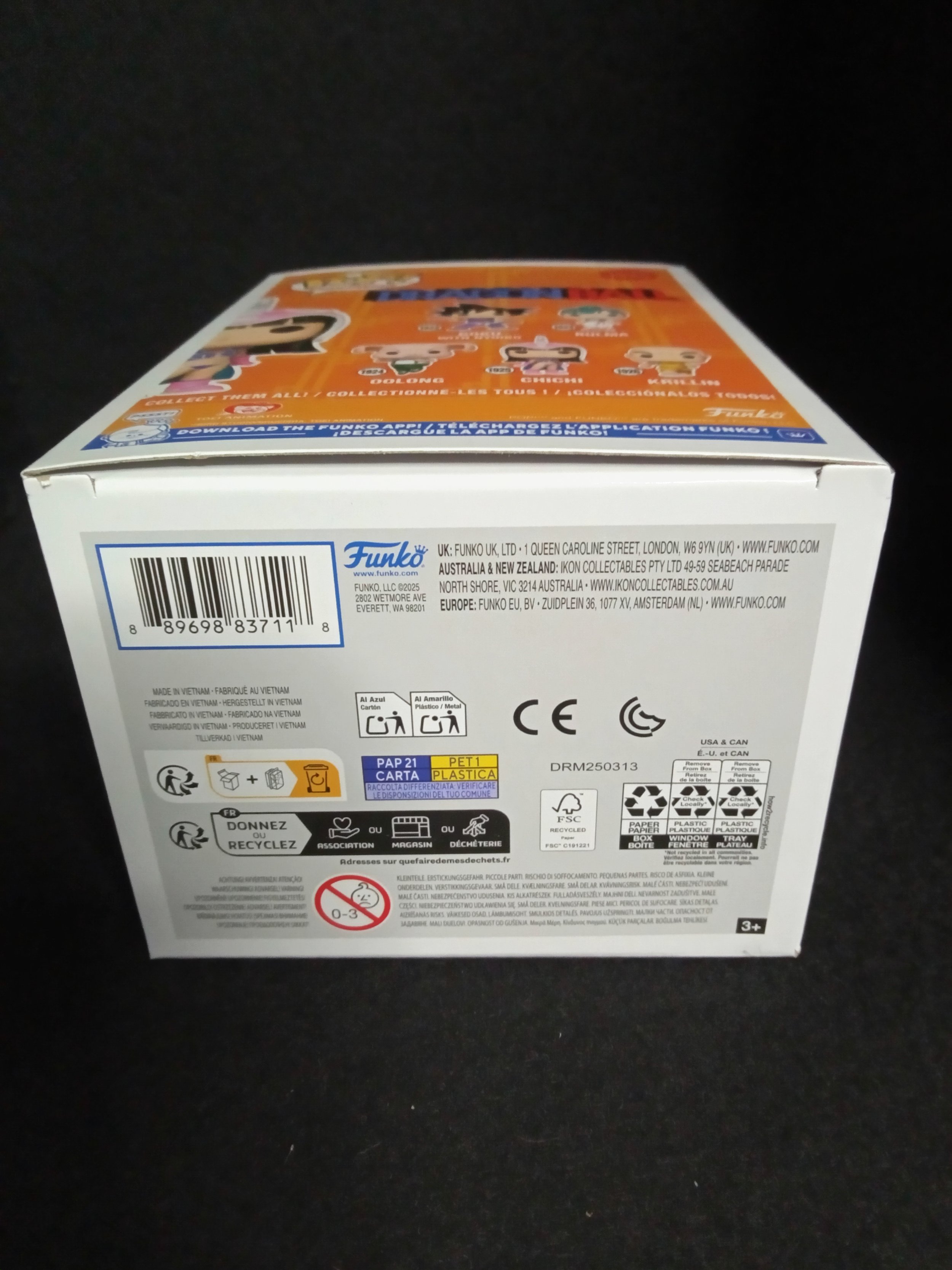 Chichi 1925 Bottom.jpg