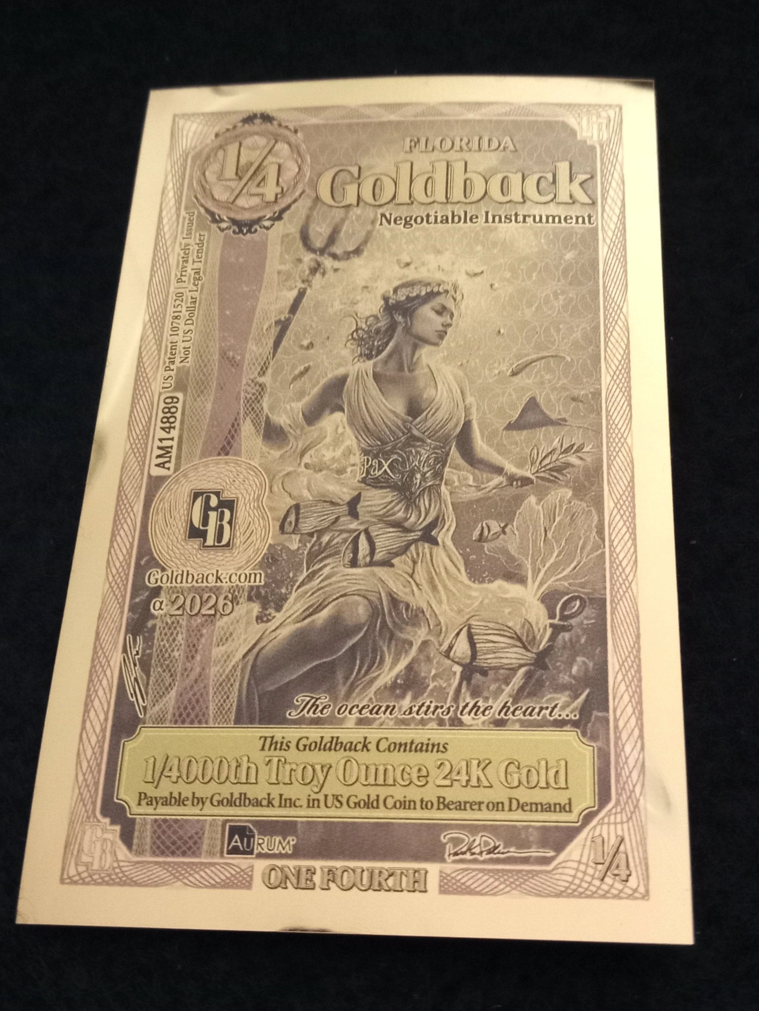 Florida Quarter GOldback - A - AM14889.jpg