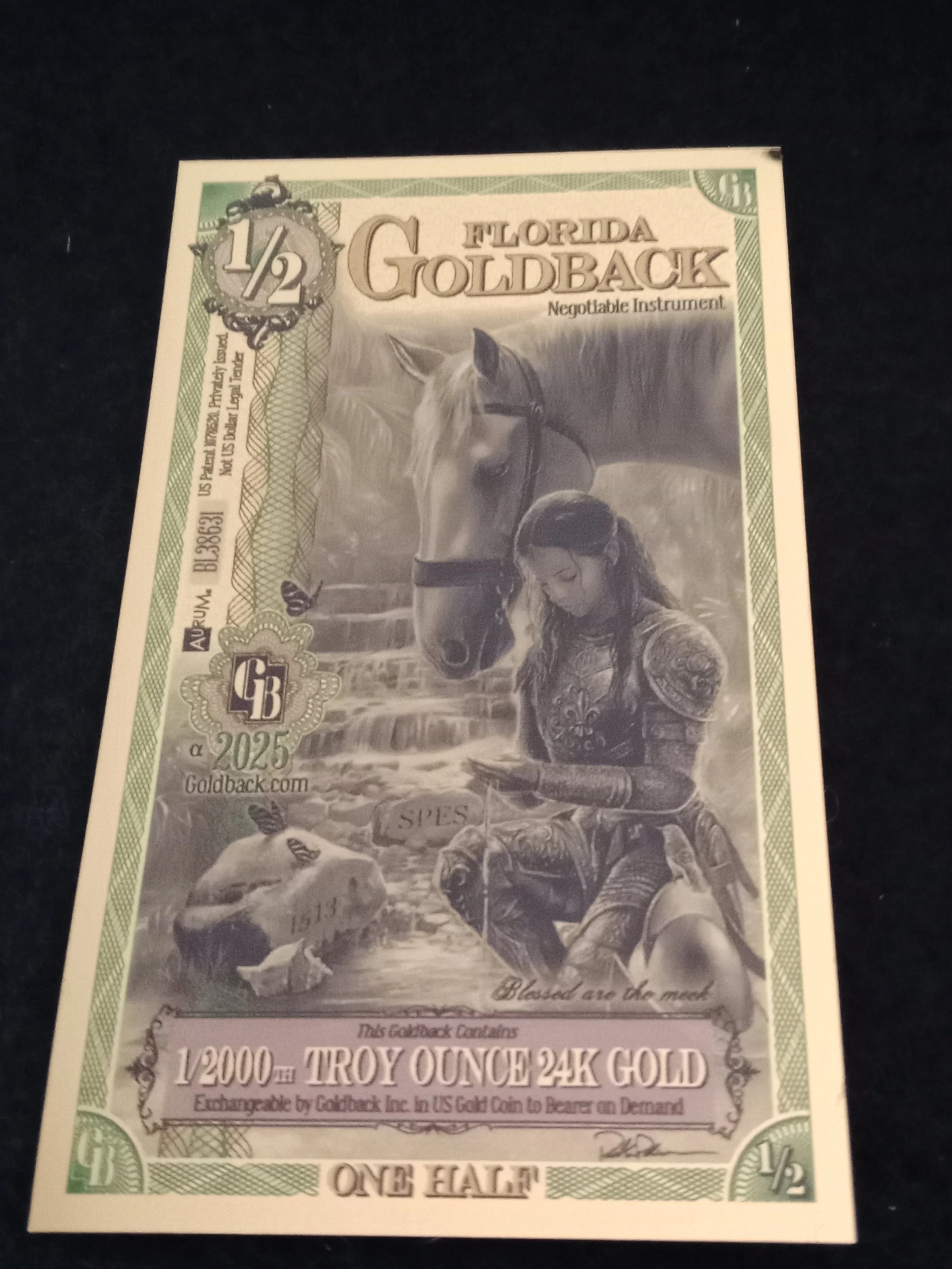 Florida Half Goldback - A - BL38631.jpg