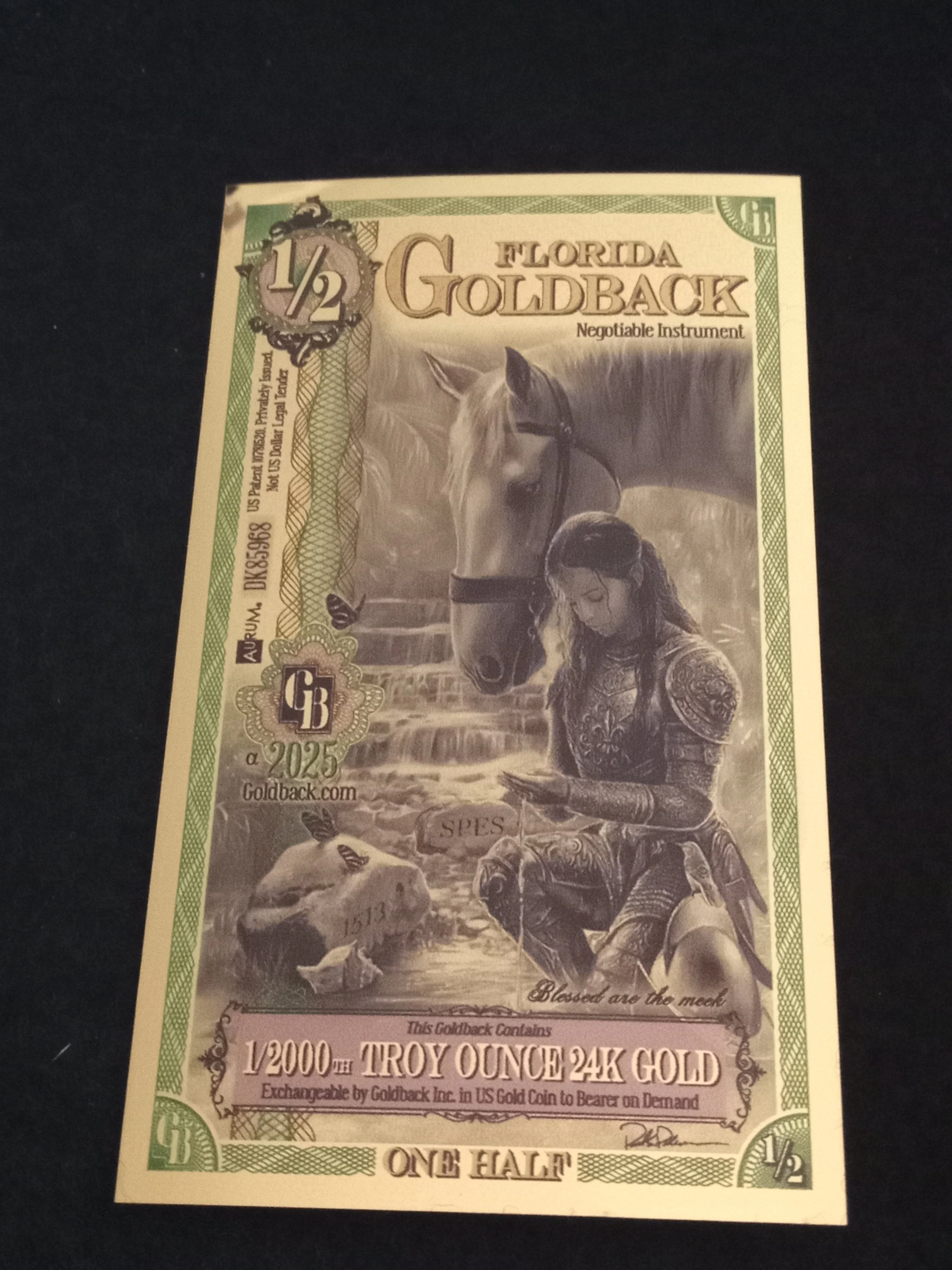 Florida Half Goldback - A - DK85968.jpg
