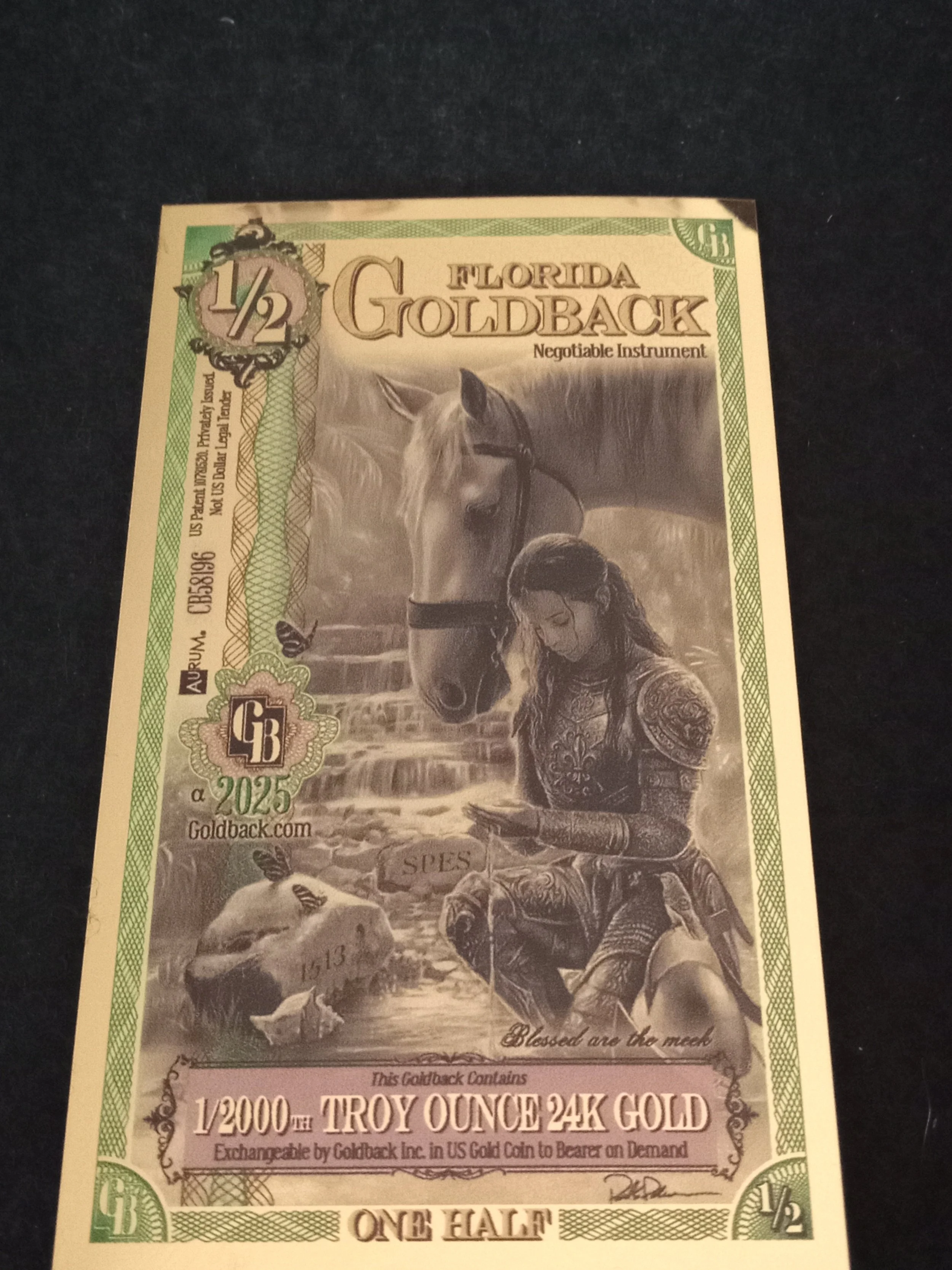 Florida Half Goldback - A - CB58196.jpg