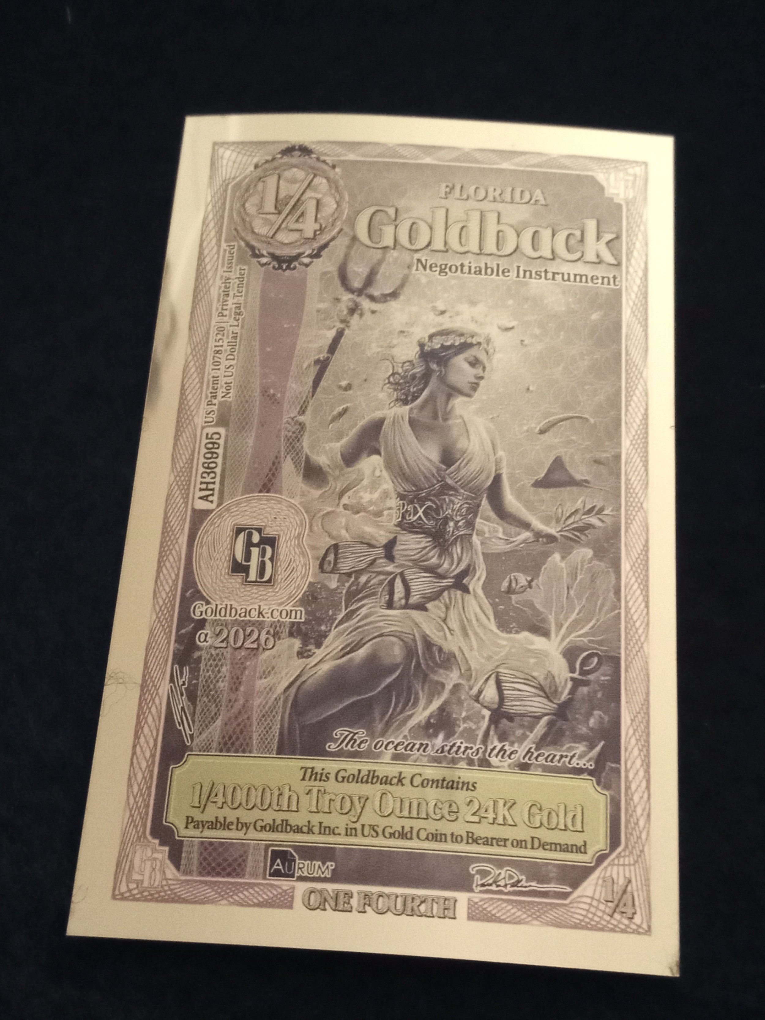 Florida Quarter Goldback - A - AH36995.jpg