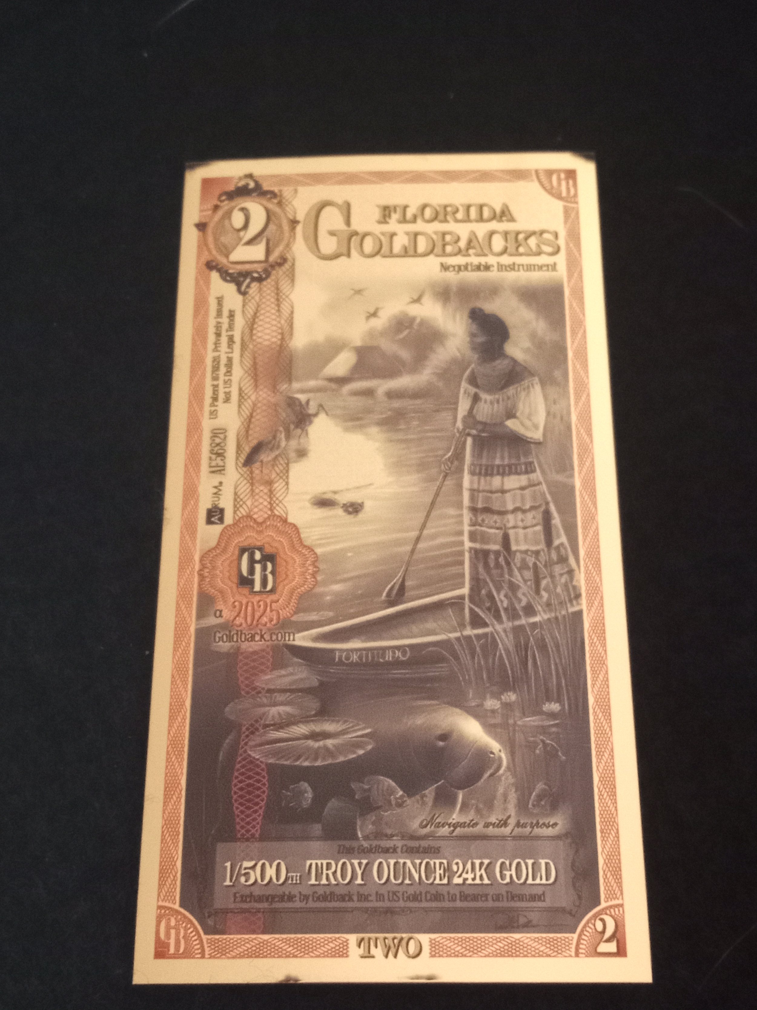 Florida 2 Goldback - A - AE56820.jpg