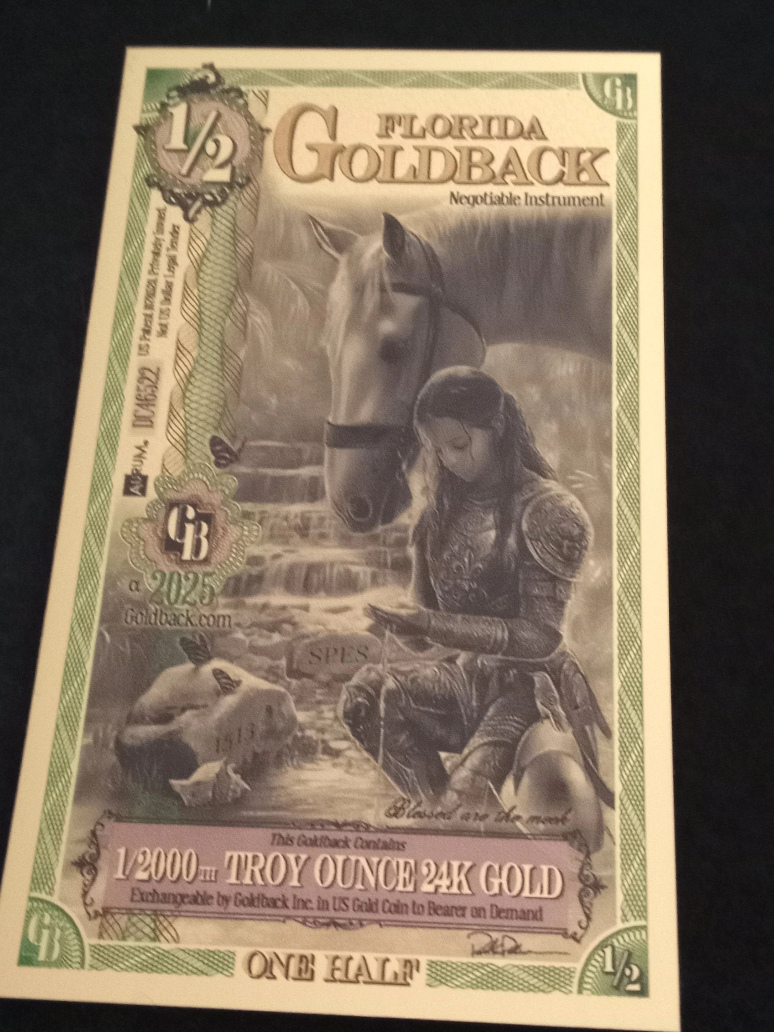 Florida Half Goldback - A - DC46522.jpg