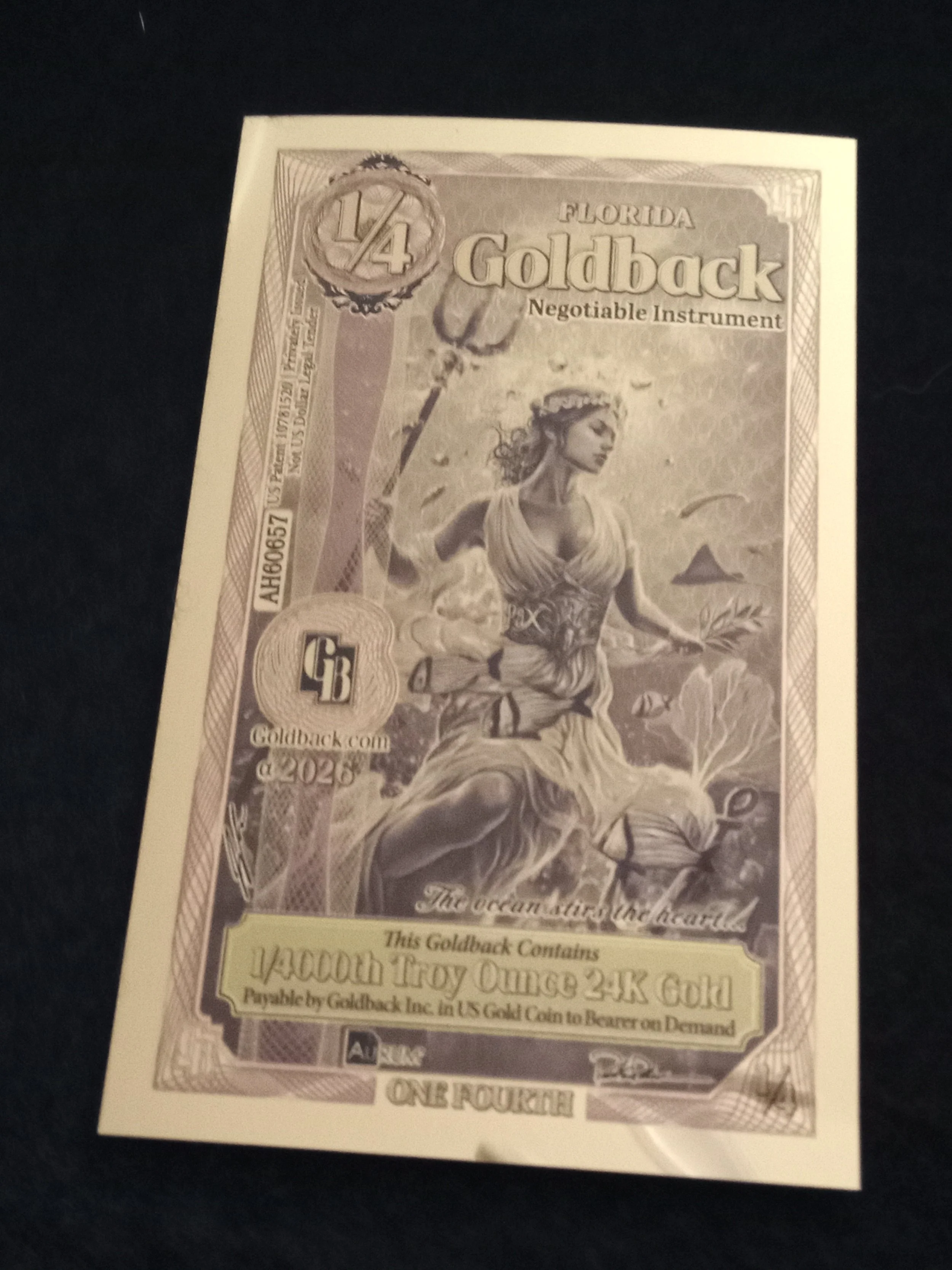 Florida Quarter GOldback - A - AH60657.jpg