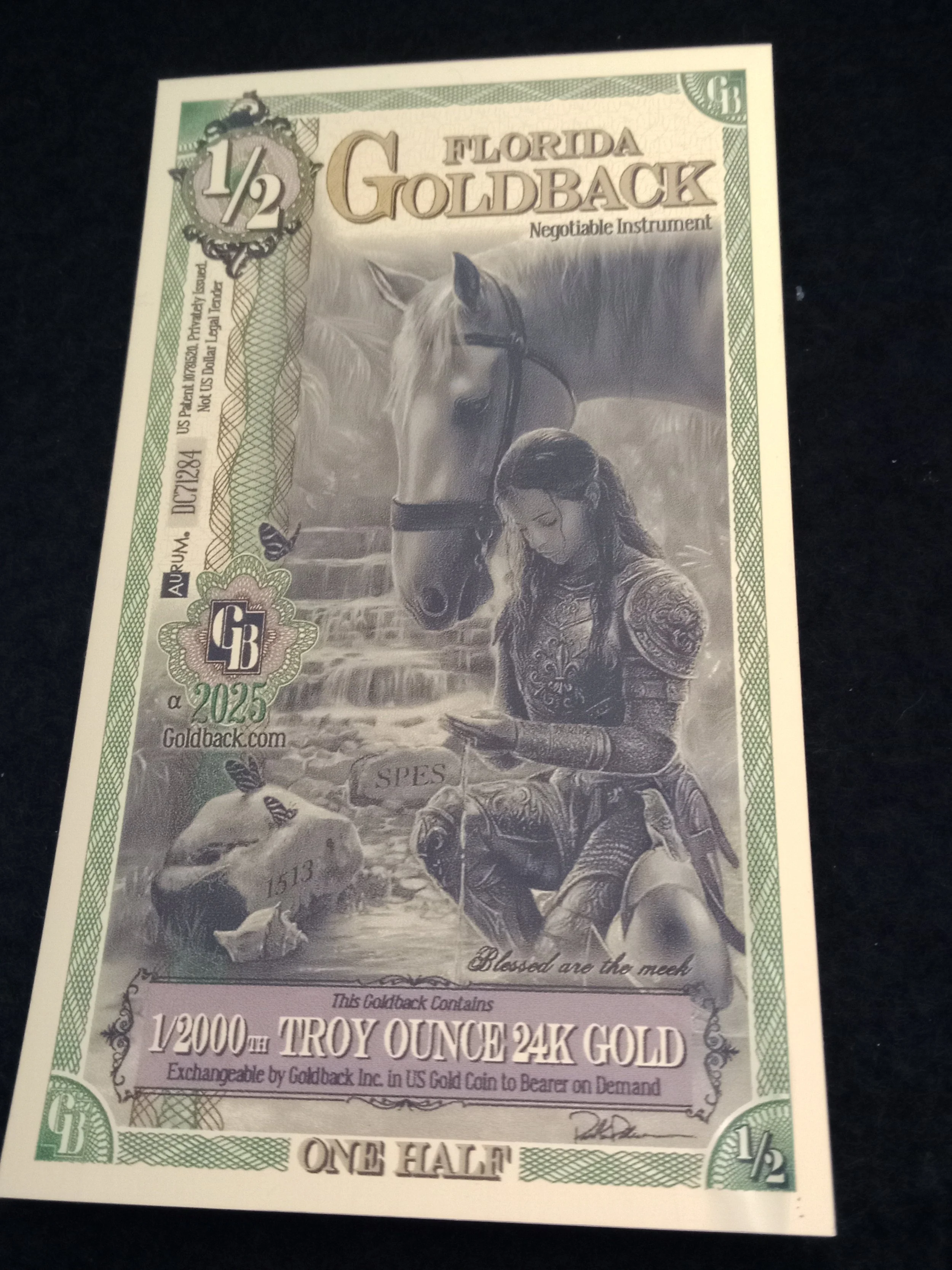 Florida Half Godback - A - DC71284.jpg