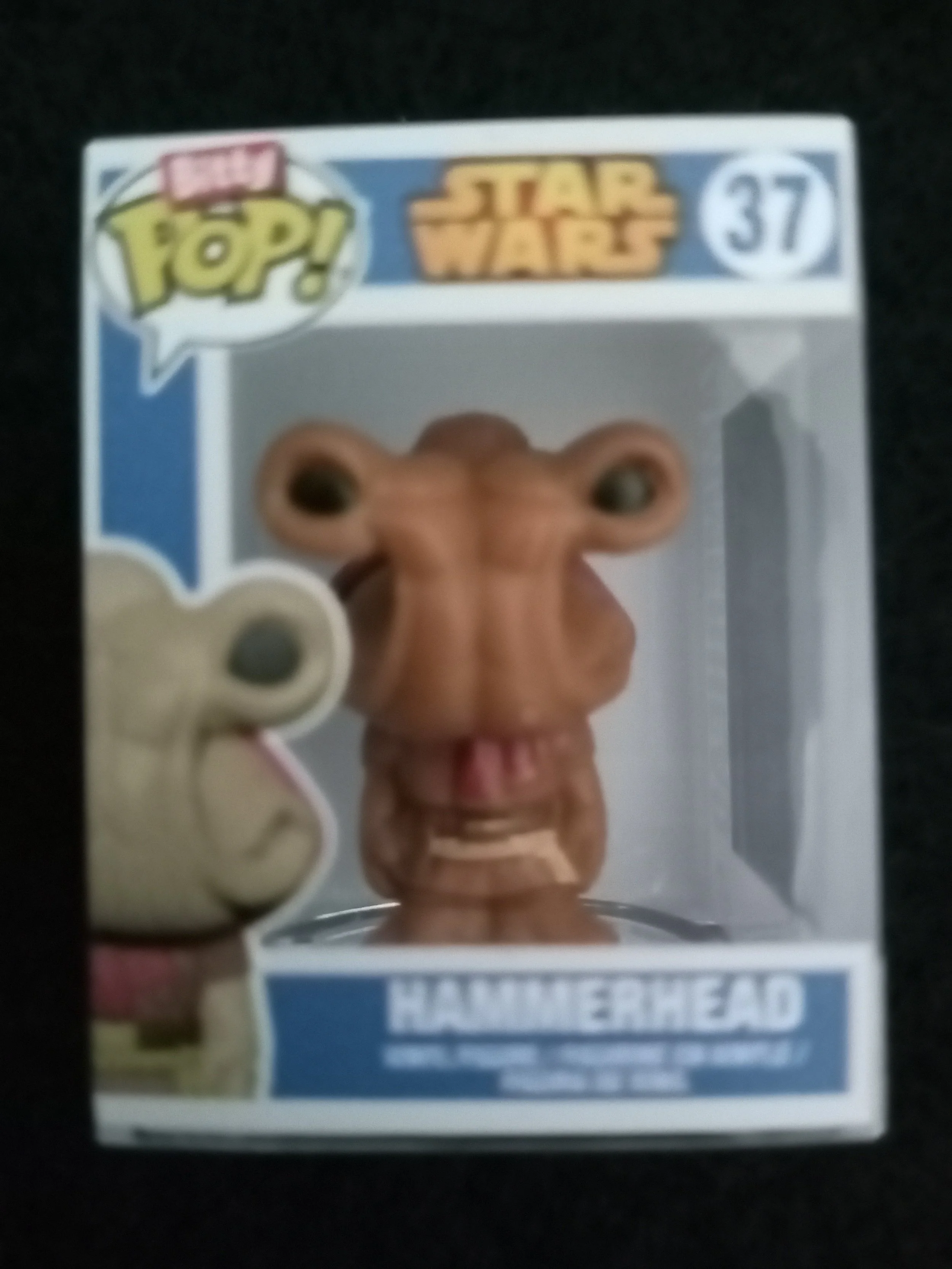 Hammerhead 37 Bitty Pop!