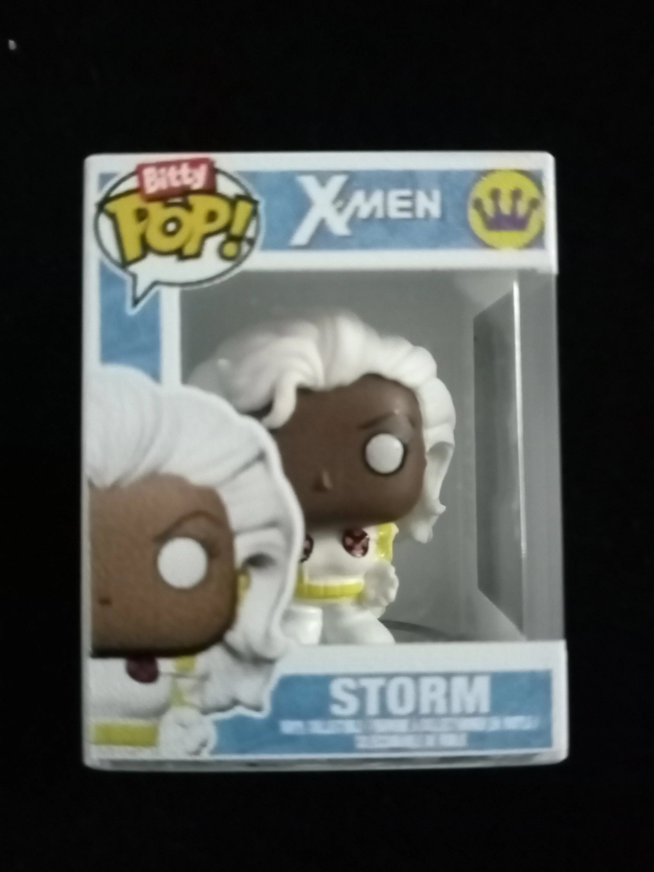 Storm Bitty Pop!.jpg