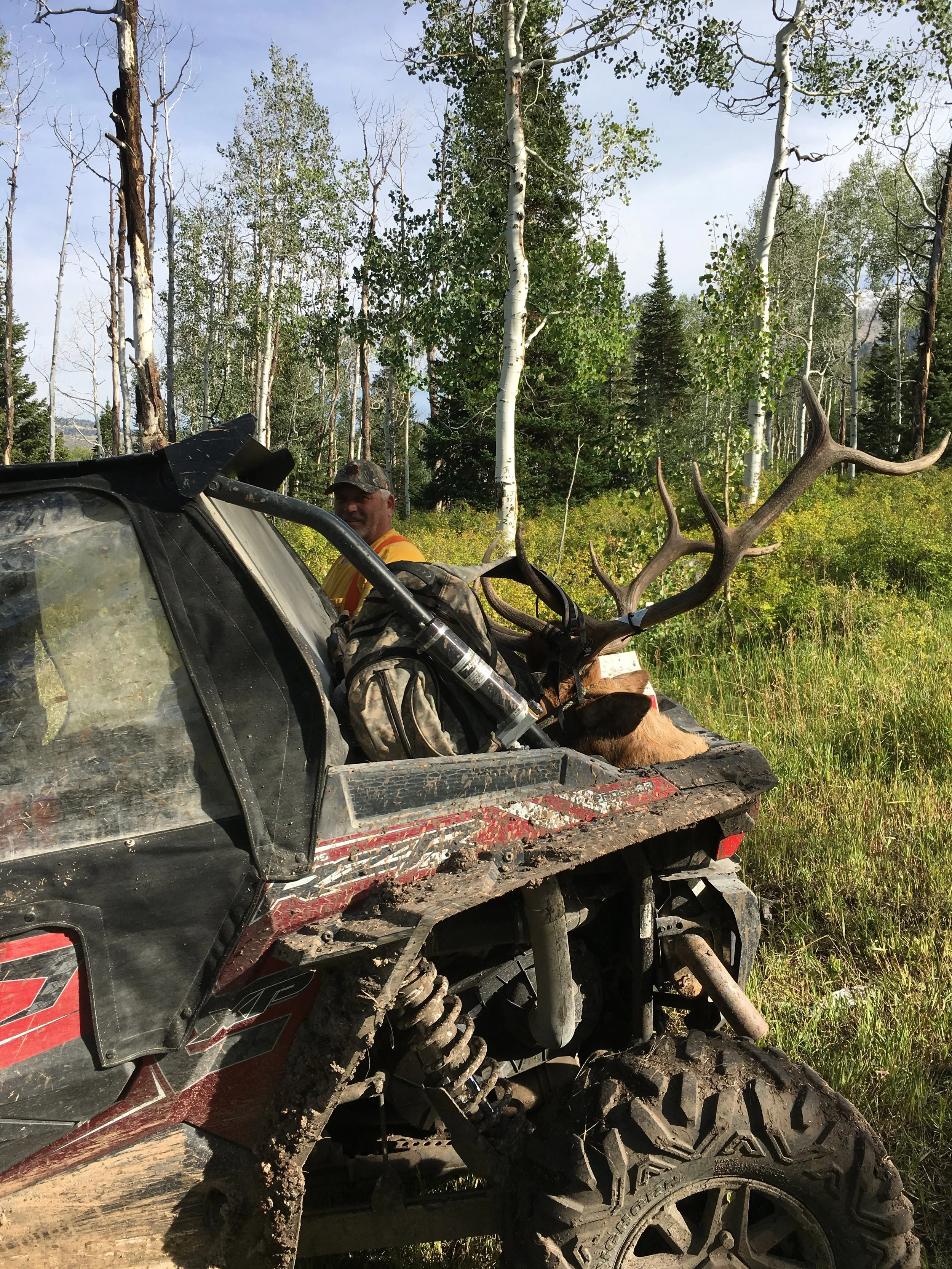 Hunting Around Manti, Utah: Big Game, Wildlife, and Outdoor Adventure Close to Home